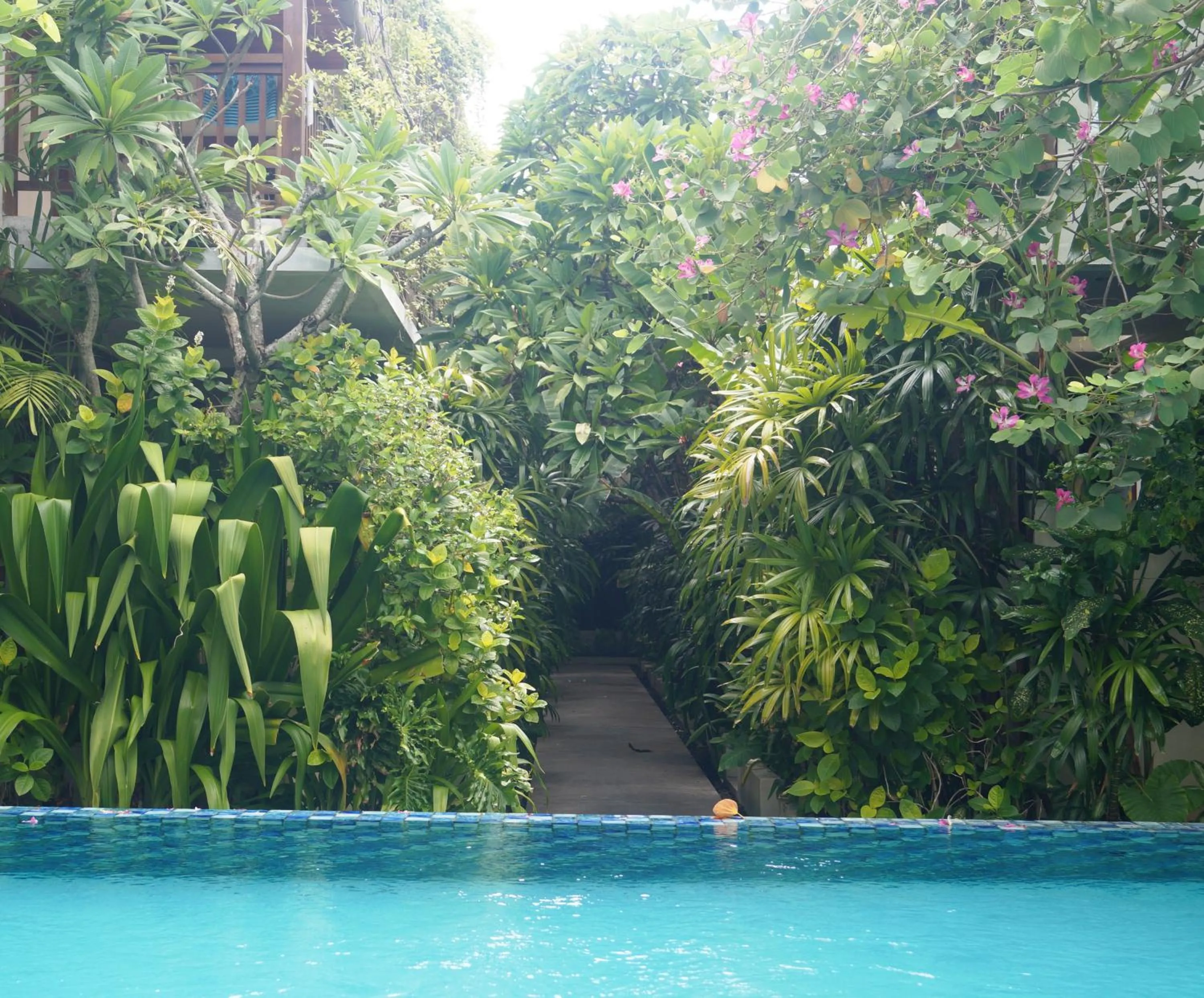 Garden in Arana Suite