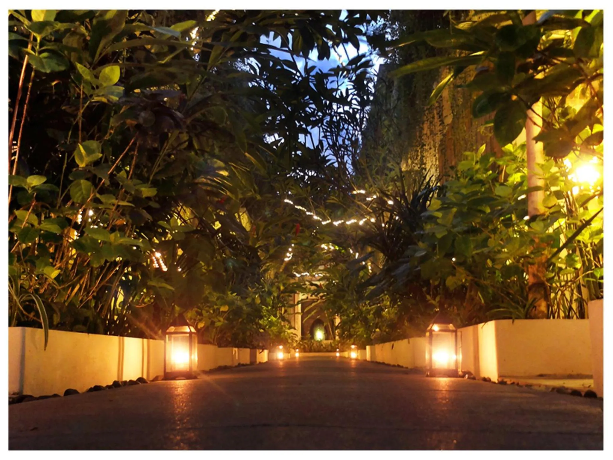 Garden in Arana Suite