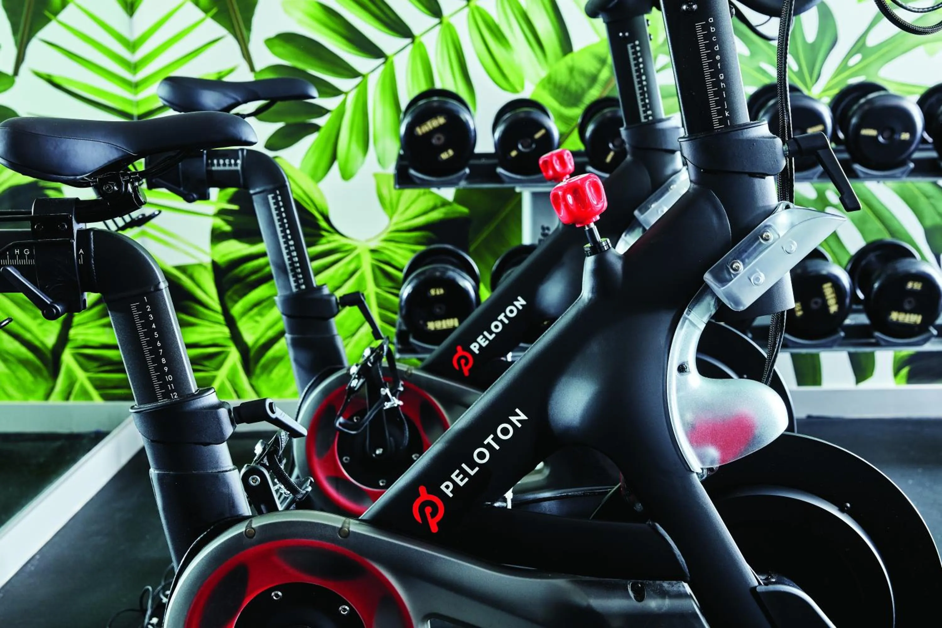 Fitness centre/facilities in Hotel Seville NoMad - The Unbound Collection by Hyatt