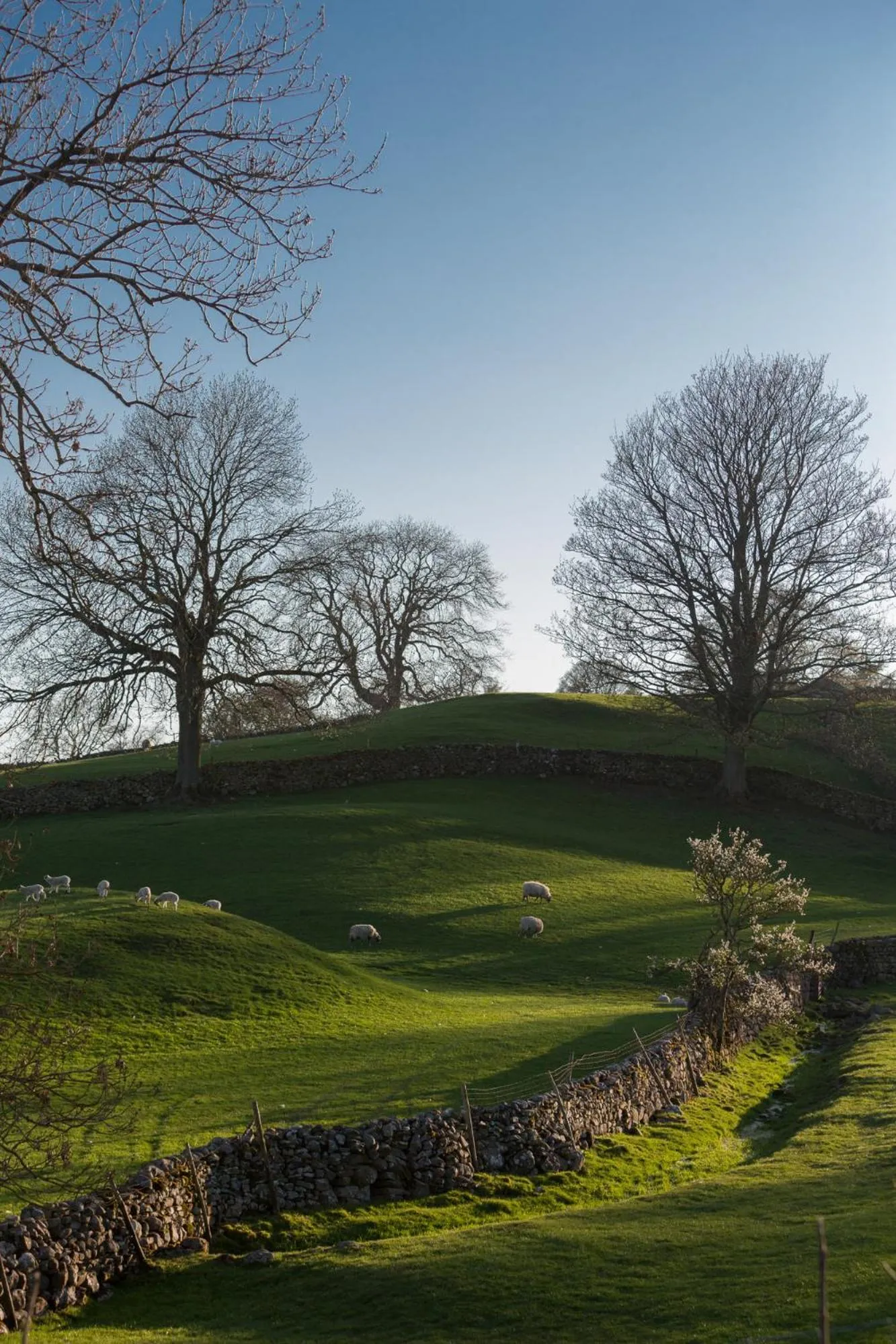 Natural landscape in Aysgarth Falls Hotel & Restaurant