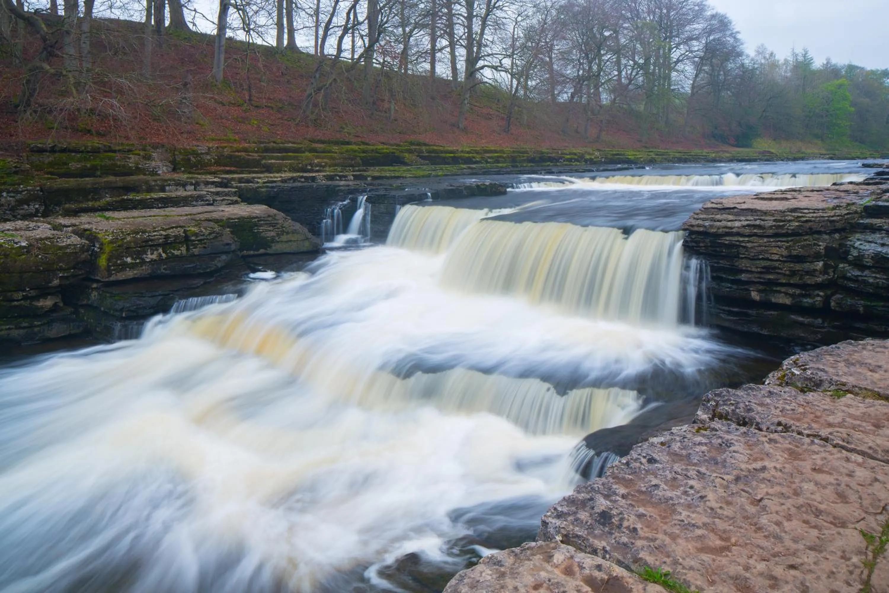 Area and facilities in Aysgarth Falls Hotel & Restaurant