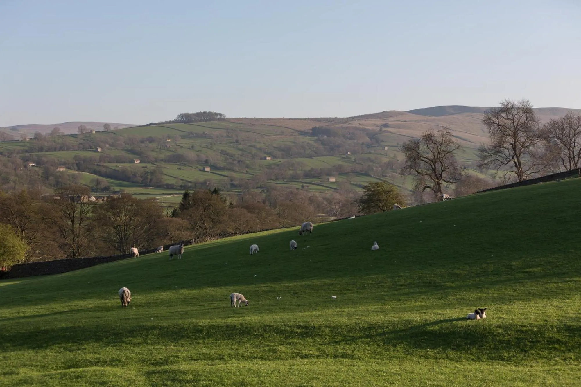 Natural landscape in Aysgarth Falls Hotel & Restaurant
