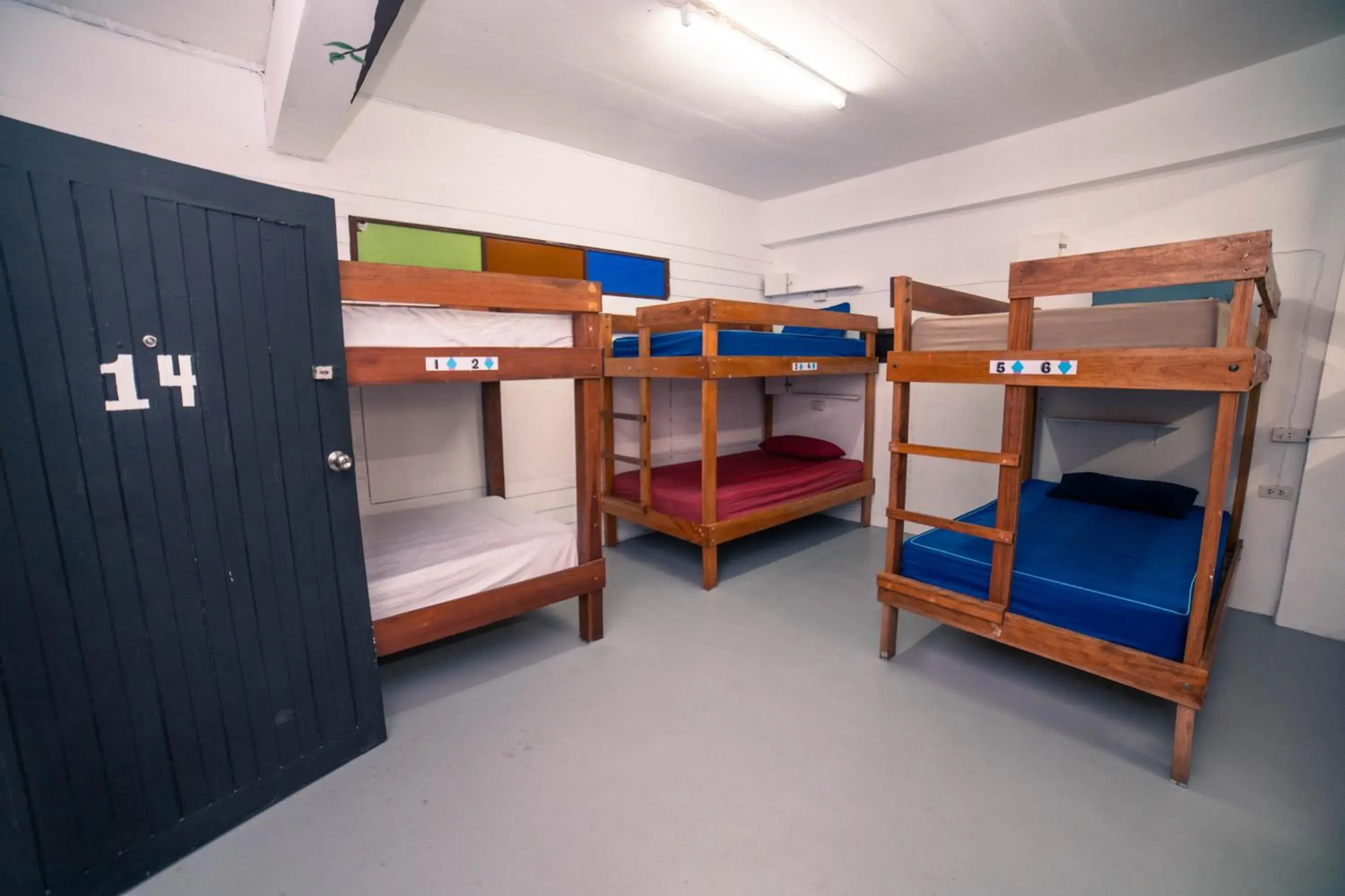 Single Bed in Mixed Dormitory Room in Phangan Arena Hostel Single Bed in Mixed Dormitory Room in Phangan Arena Hostel