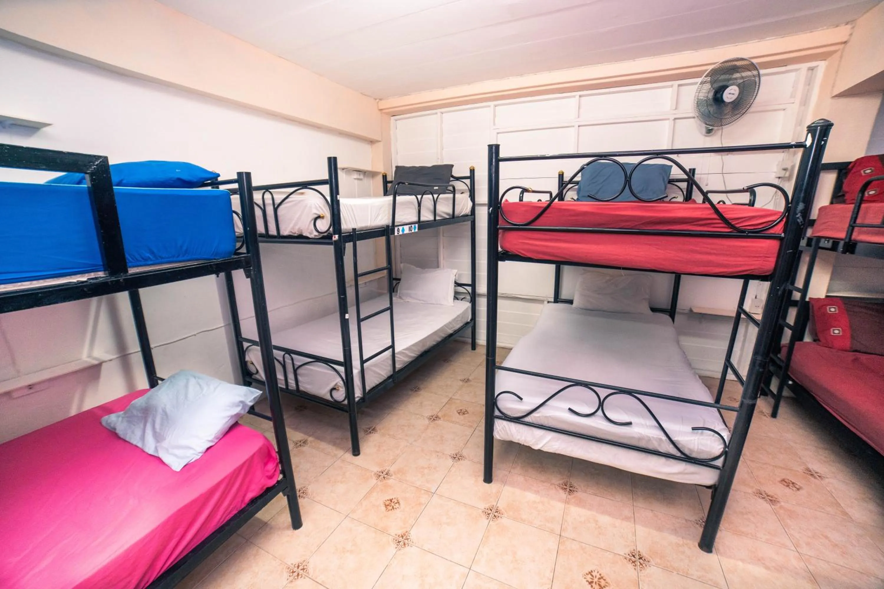 Bed in Phangan Arena Hostel