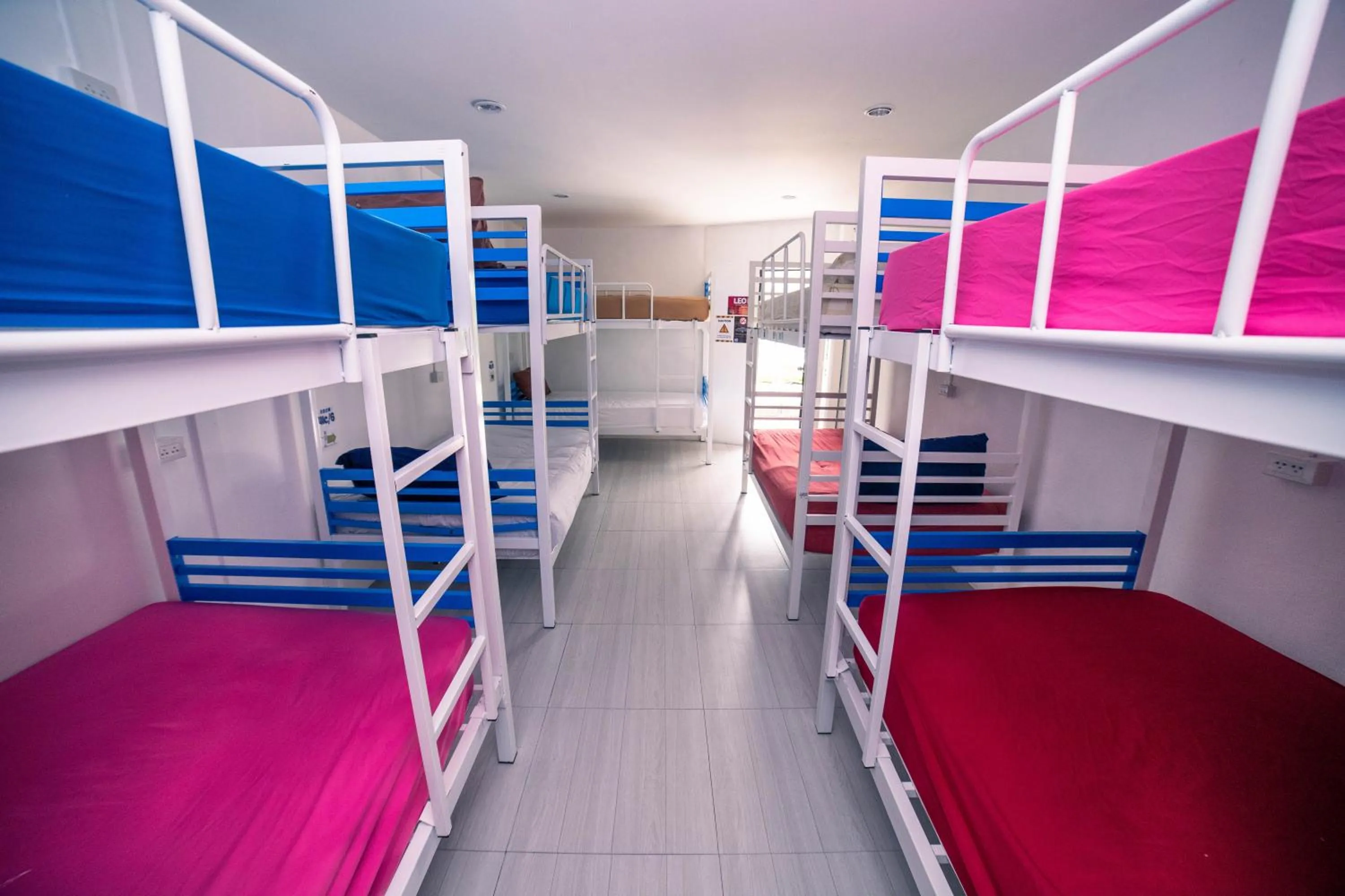 Bed in Phangan Arena Hostel