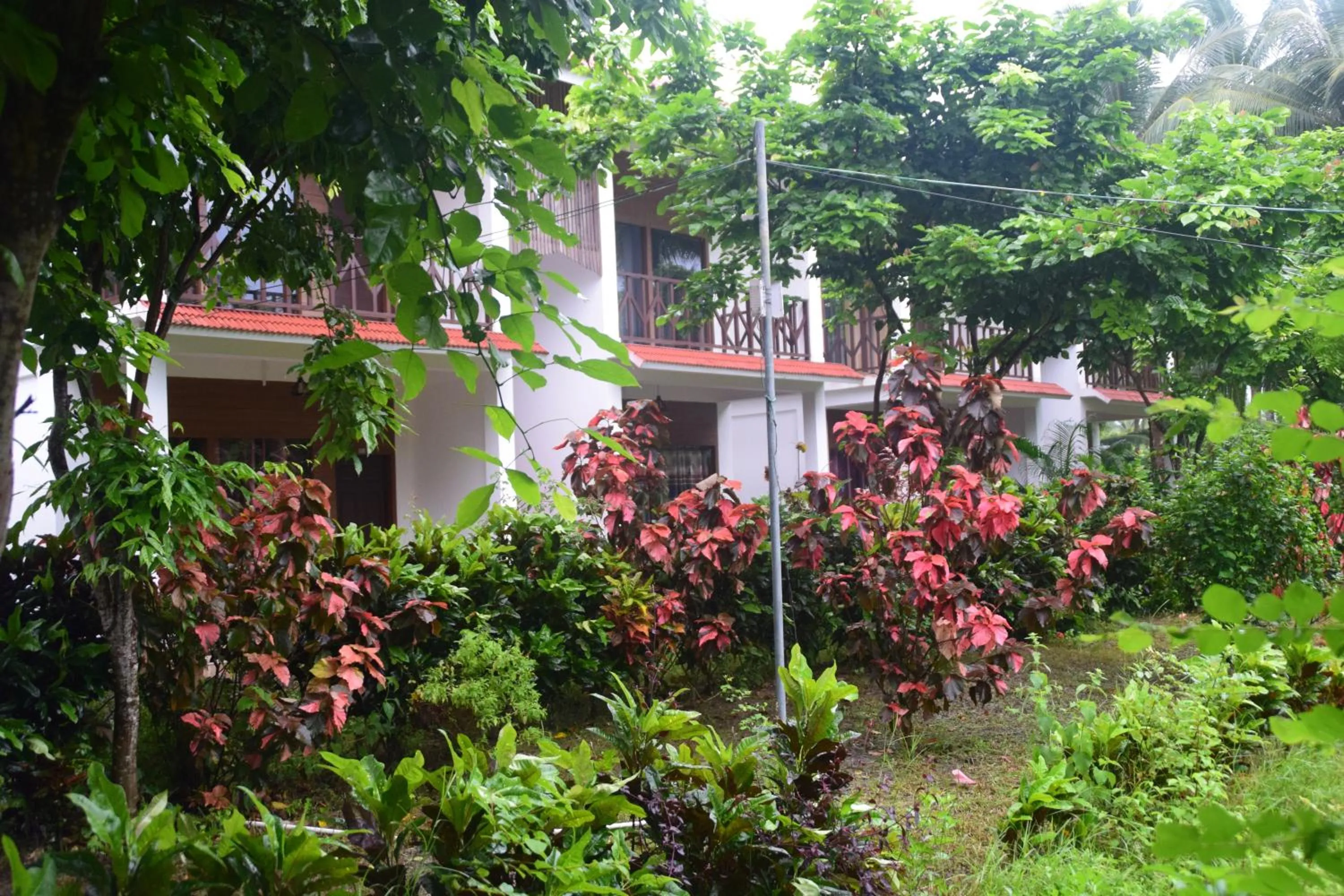 Hotel Exotica Squares