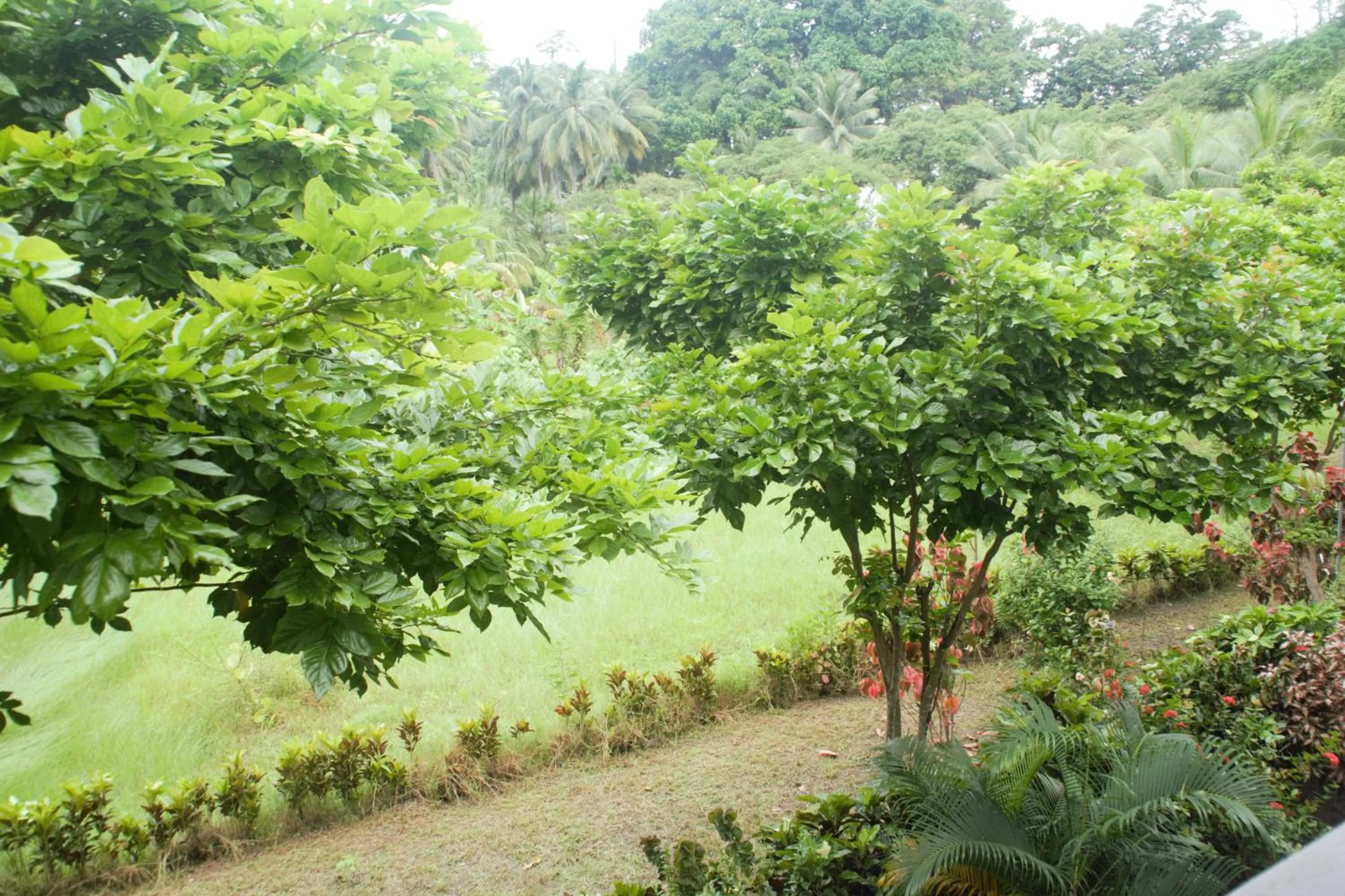 Hotel Exotica Squares