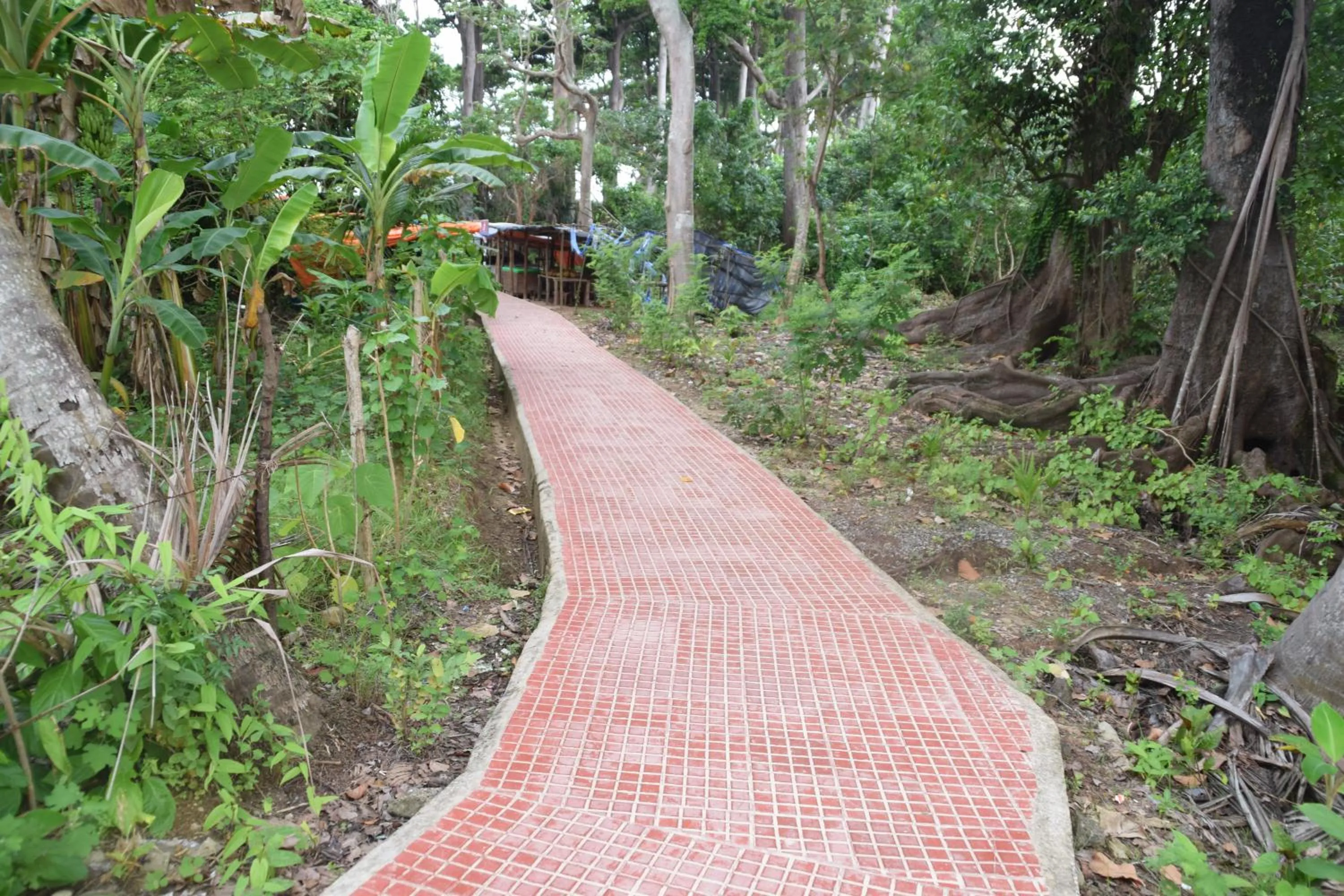 Day in Hotel Exotica Squares