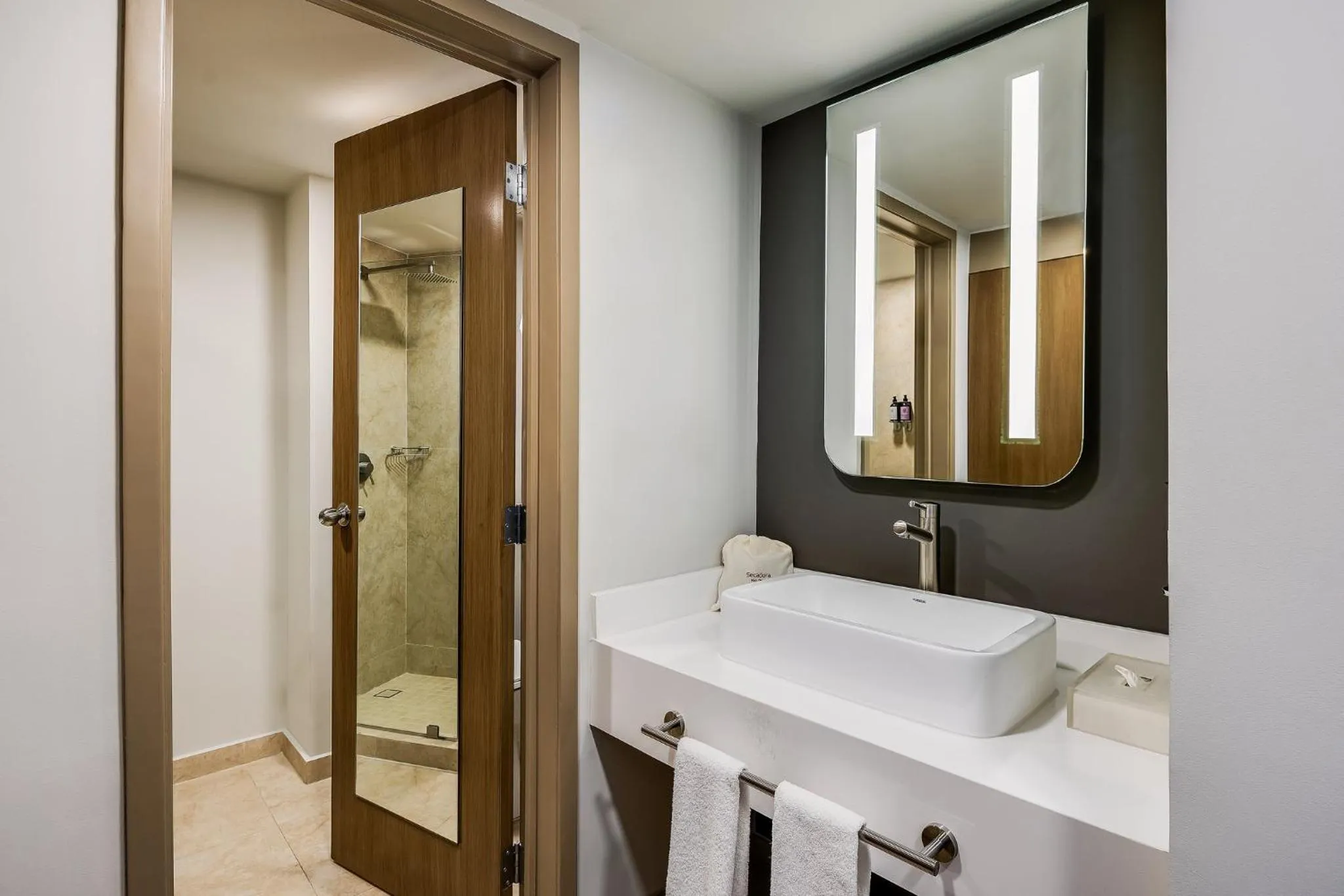 Bathroom in Fiesta Inn Monterrey Valle