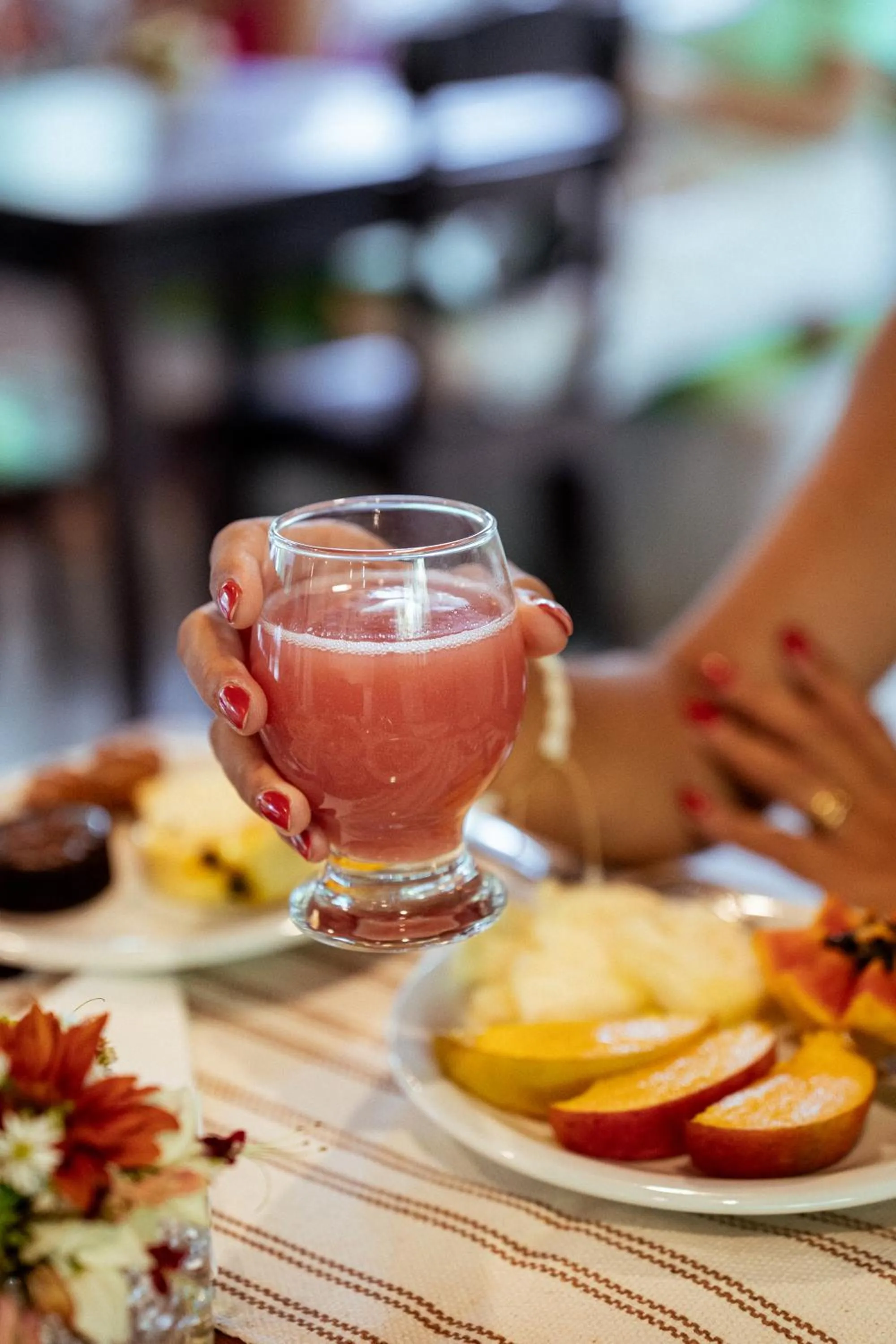 Drinks in Pousada Samambaia