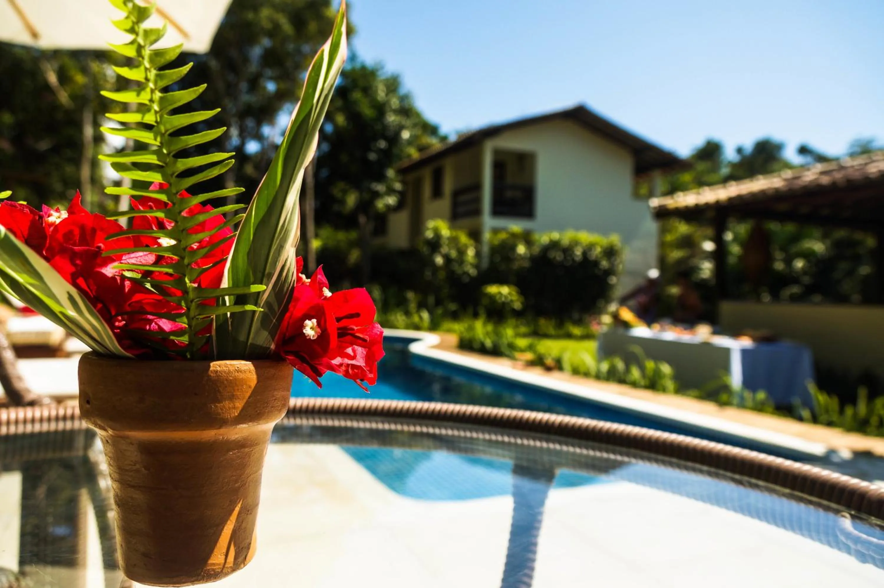 Garden view in Pousada Samambaia
