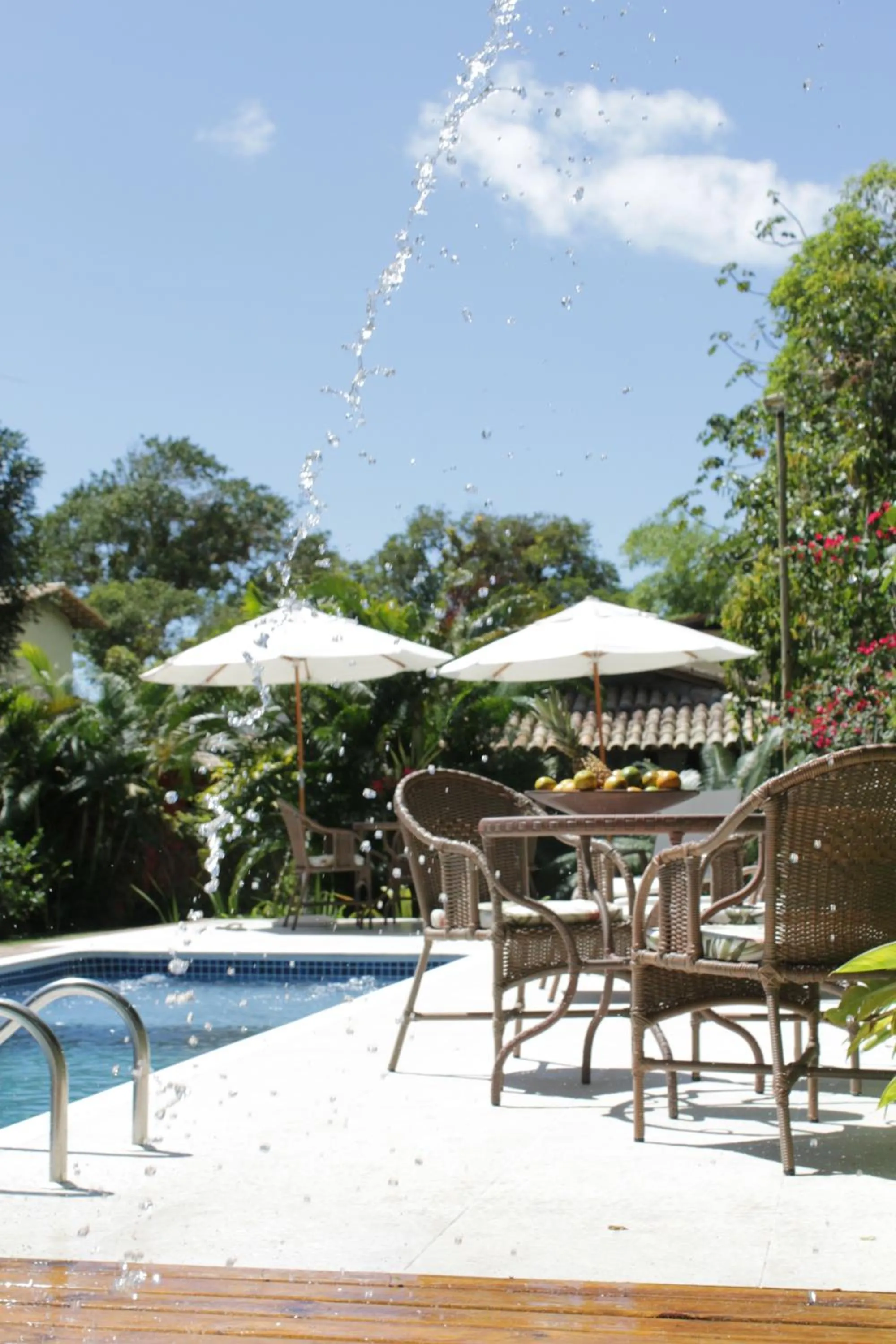 Garden in Pousada Samambaia