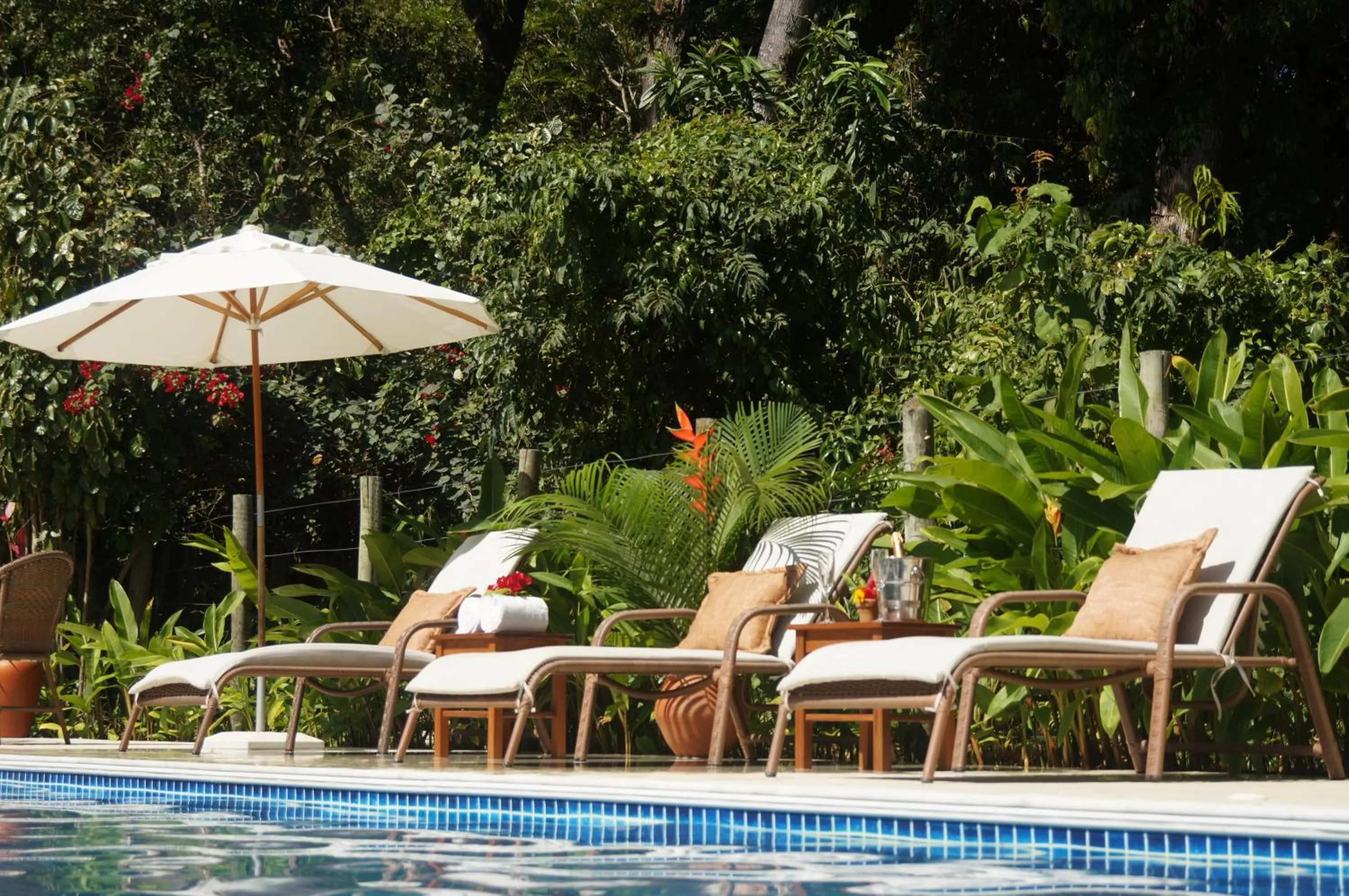 Garden in Pousada Samambaia