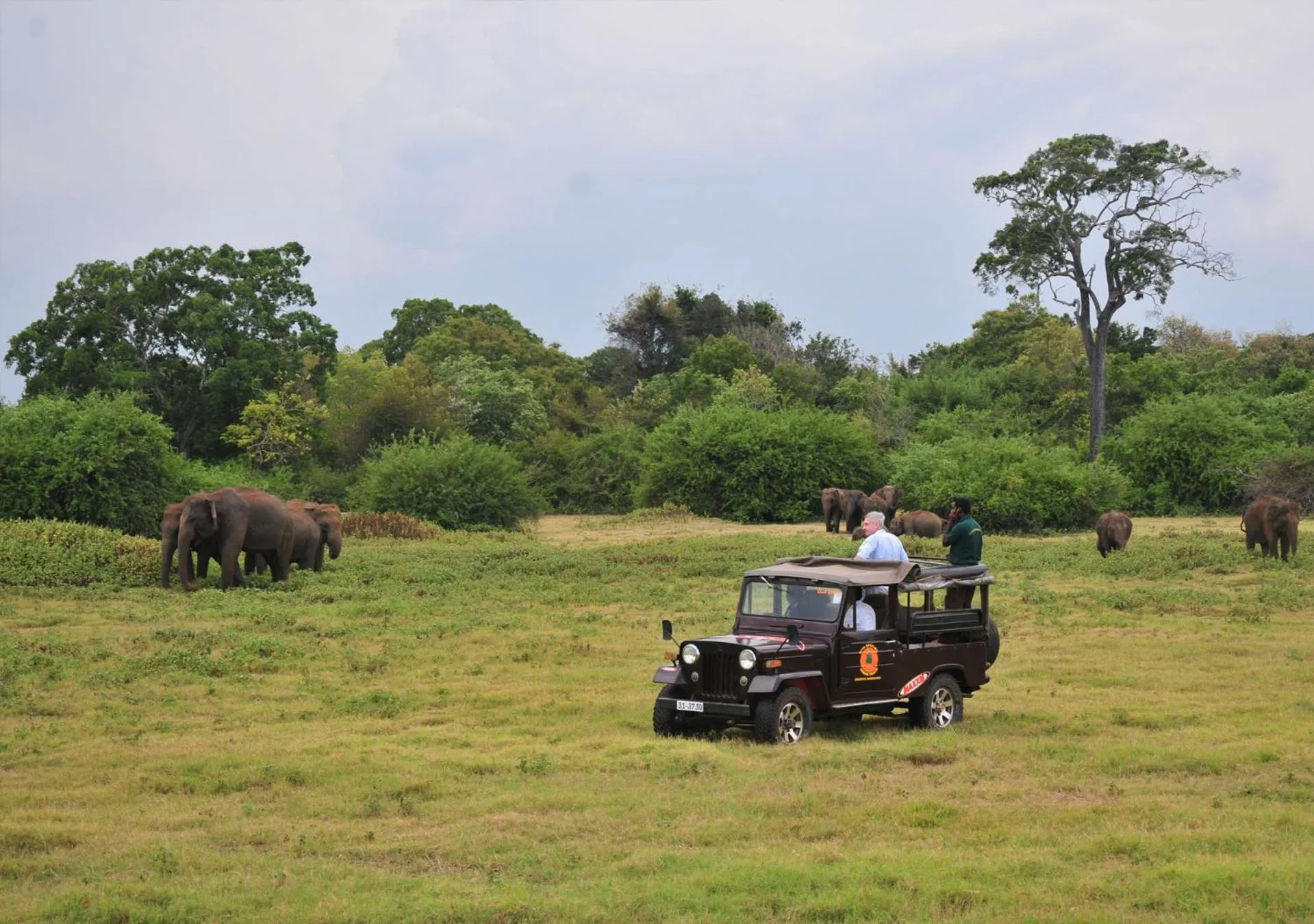 Activities in Back of Beyond - Wild Haven