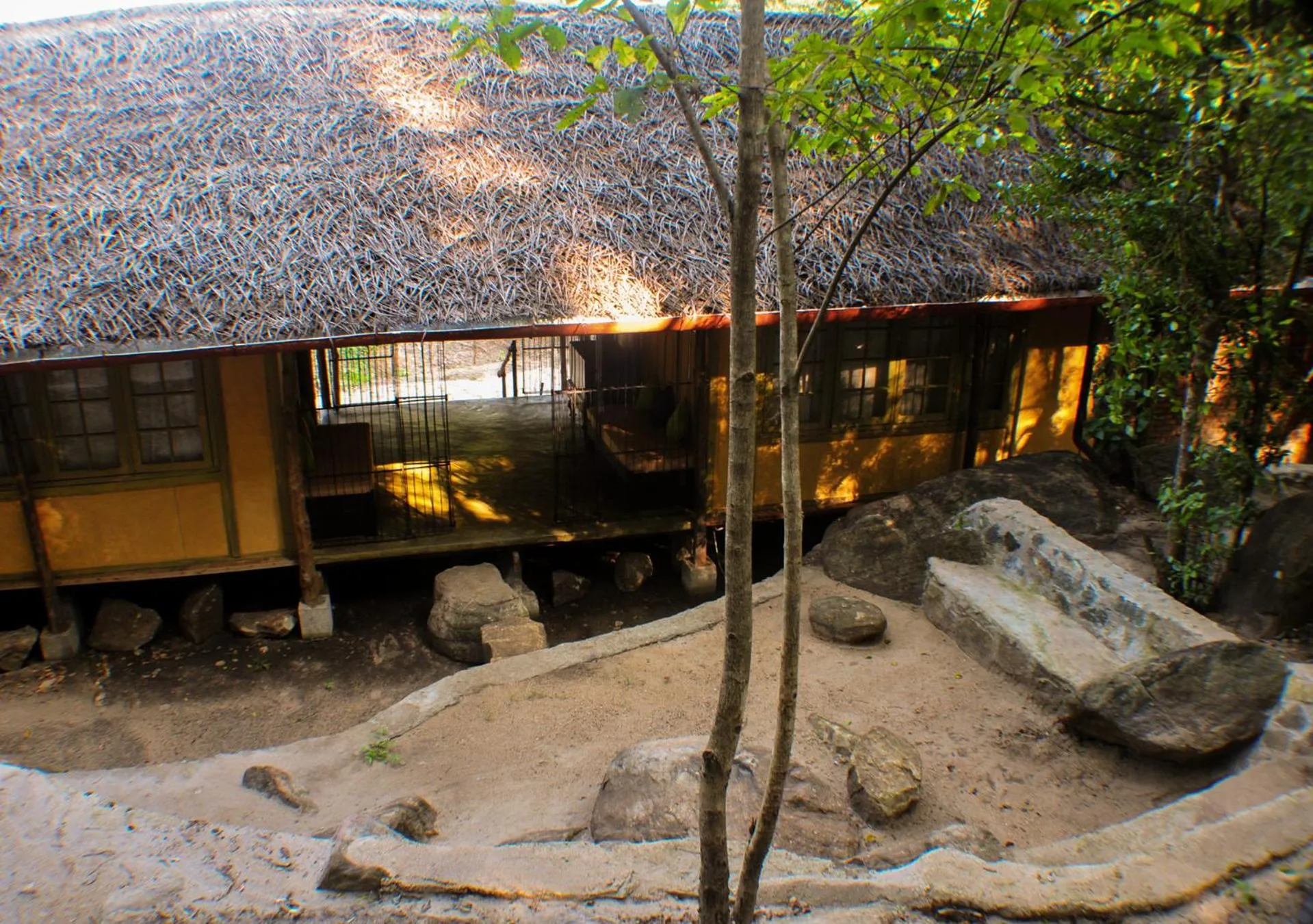 Living room in Back of Beyond - Wild Haven