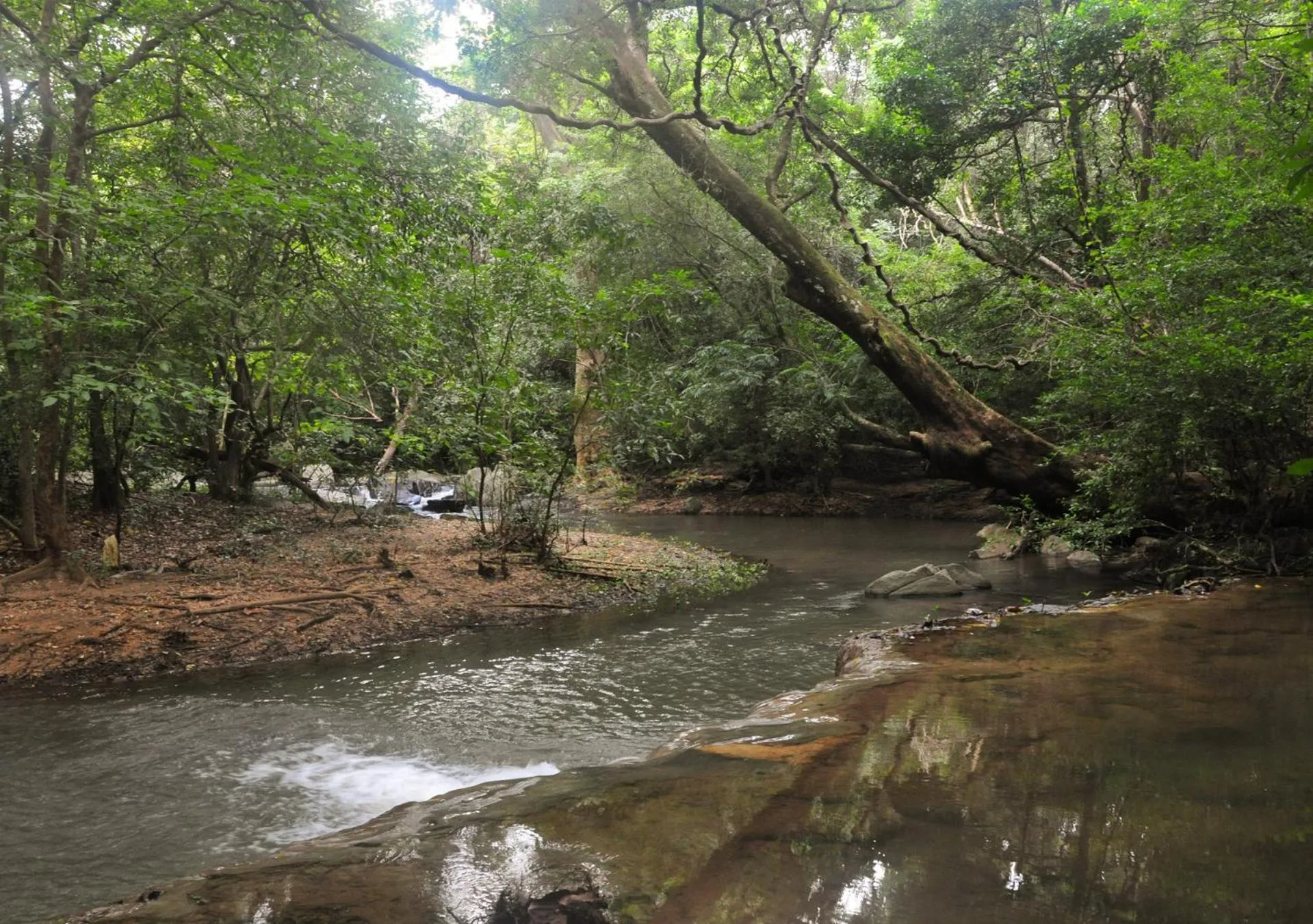 Natural landscape in Back of Beyond - Wild Haven
