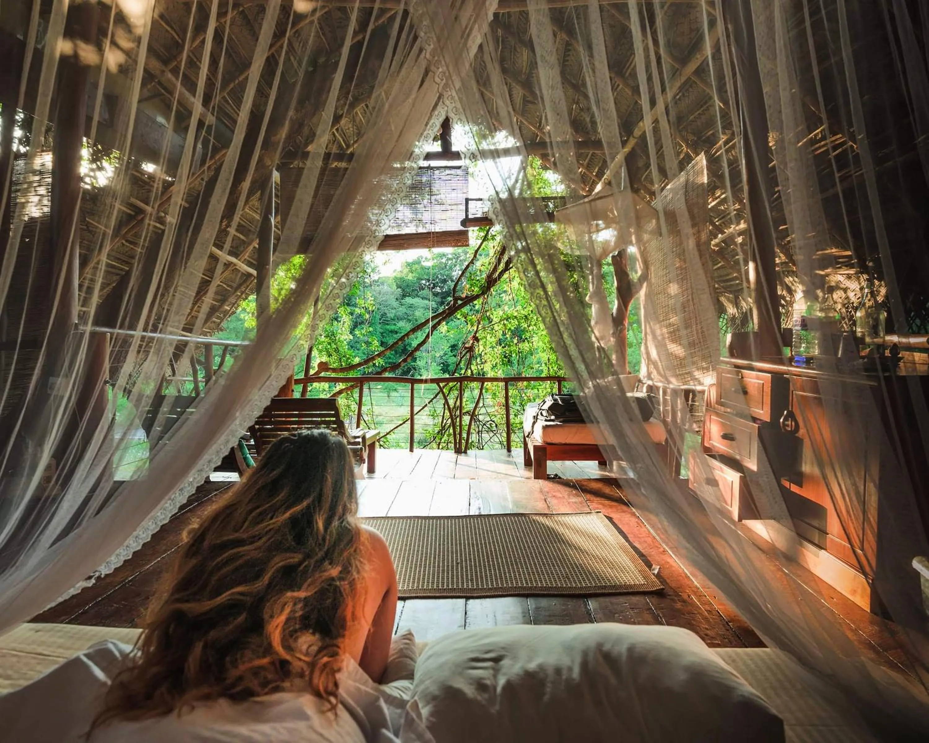 Photo of the whole room in Back of Beyond - Wild Haven