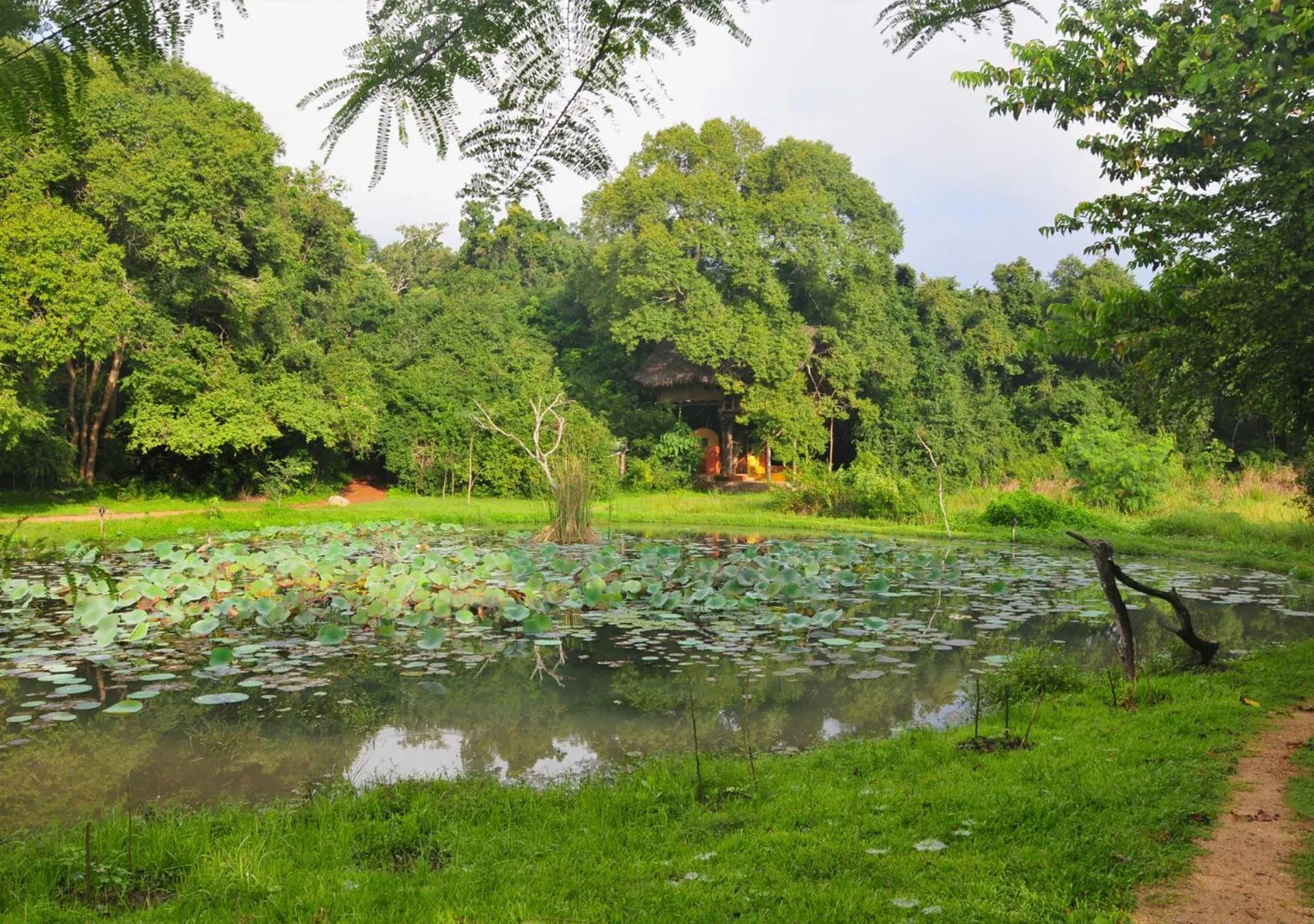 Natural landscape in Back of Beyond - Wild Haven