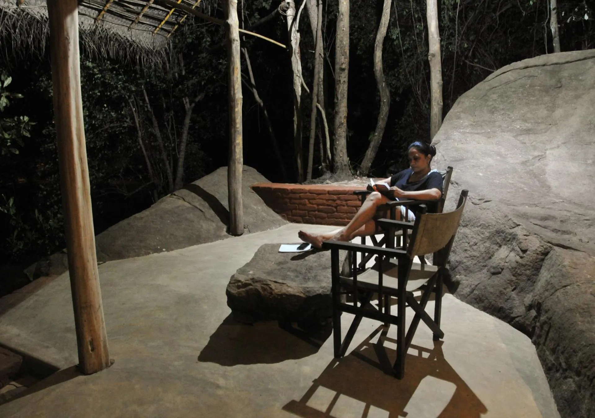 Living room in Back of Beyond - Wild Haven