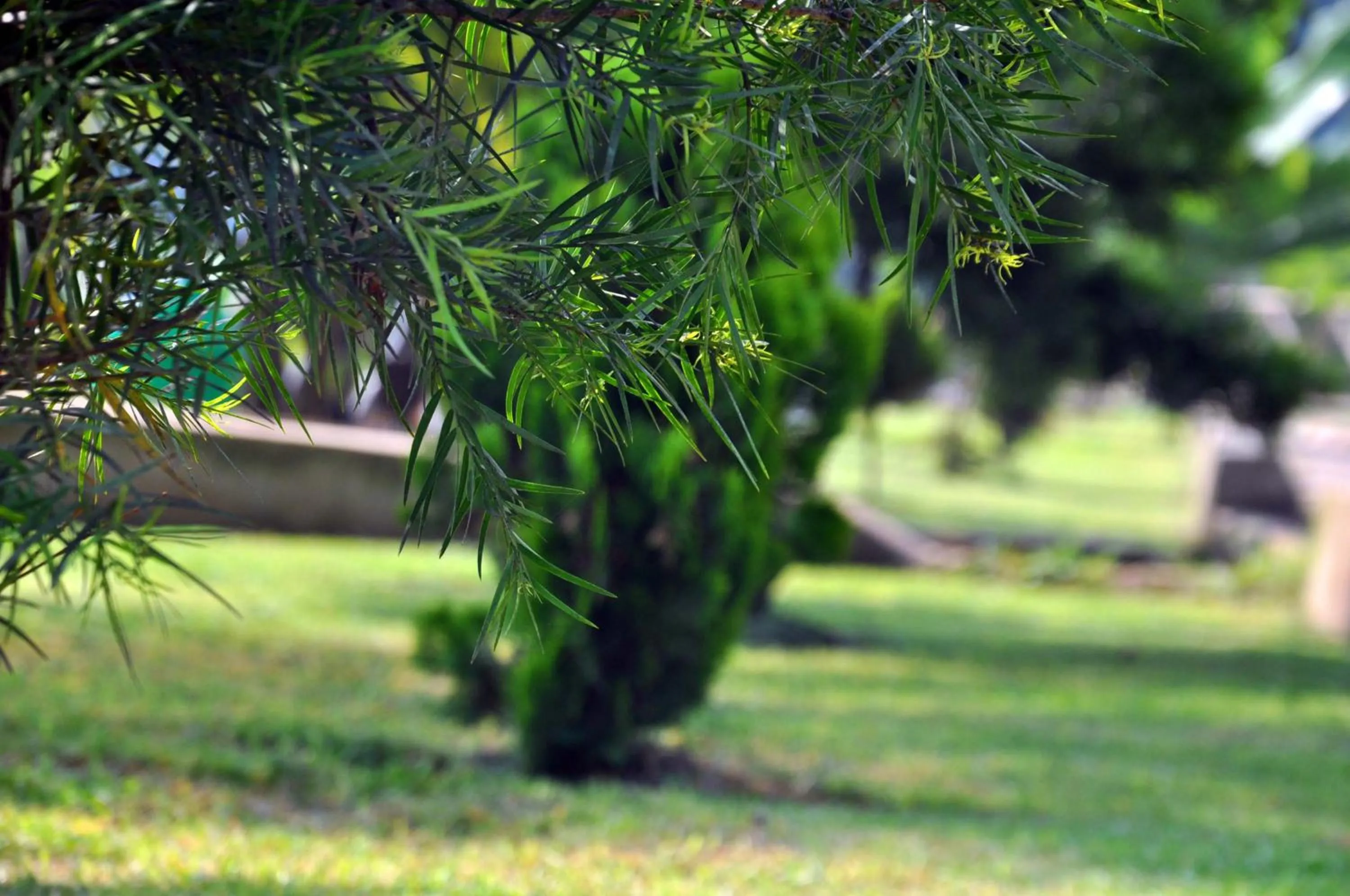 Day in Riverside Resort Hotel Kabale