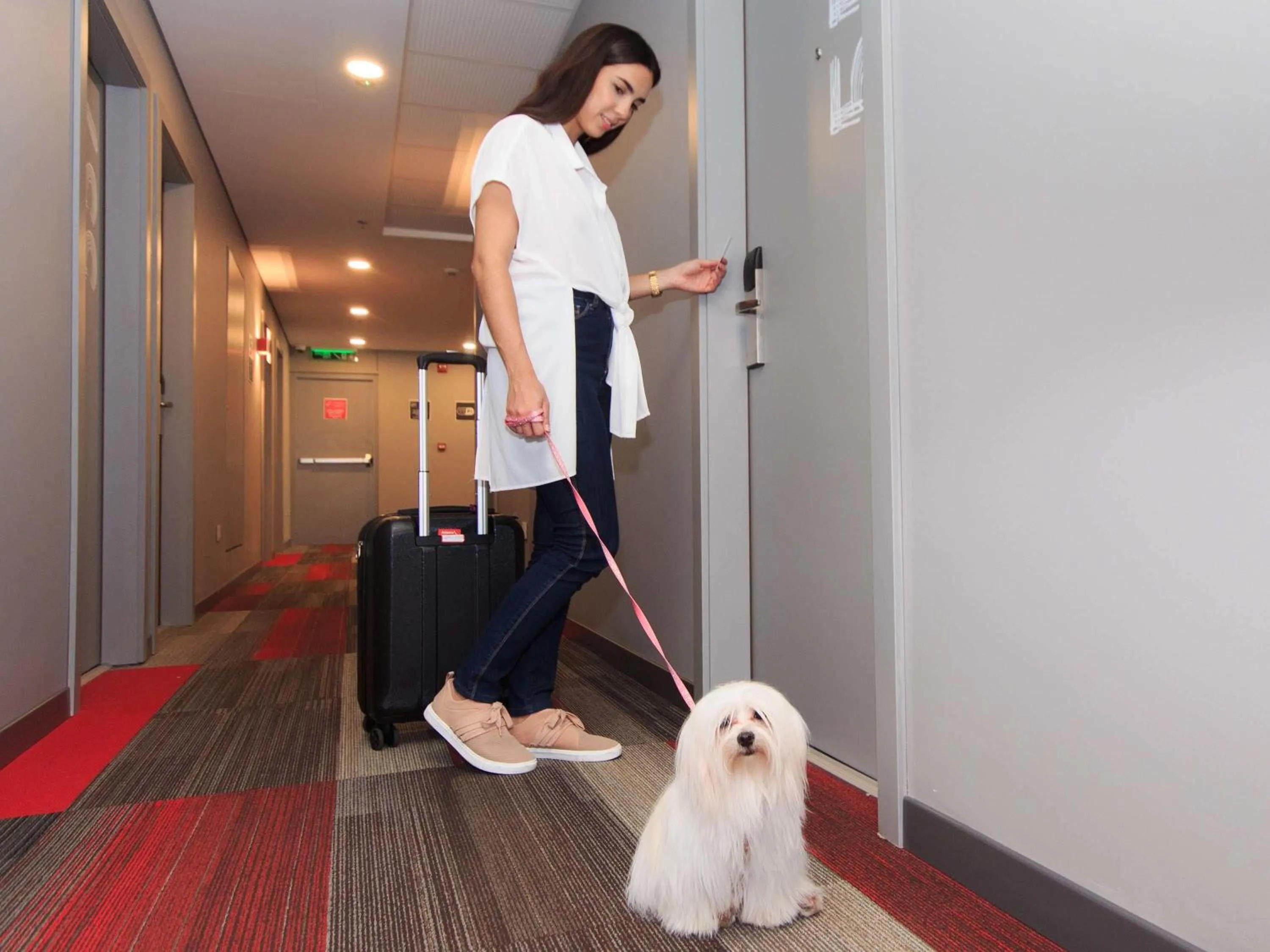 Other in ibis Cucuta