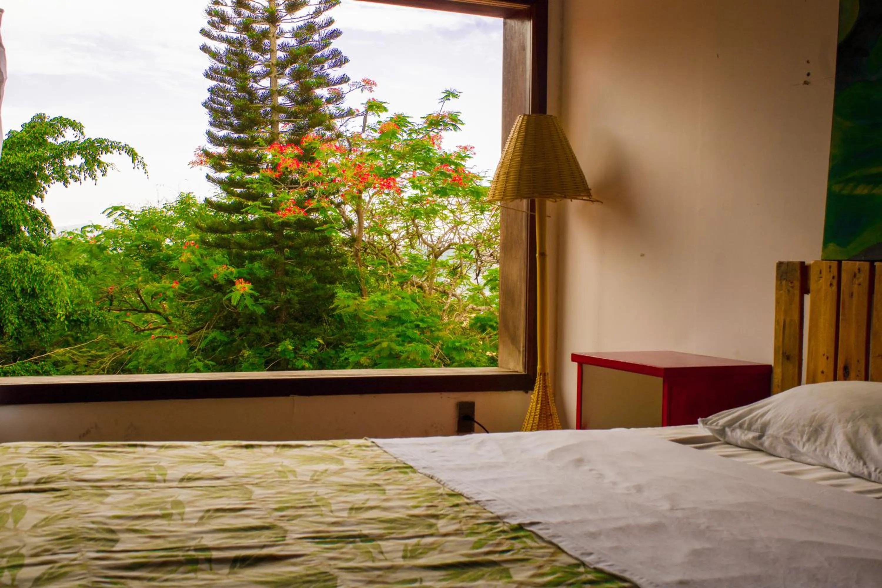 Bed in The Eco Palace Hostel