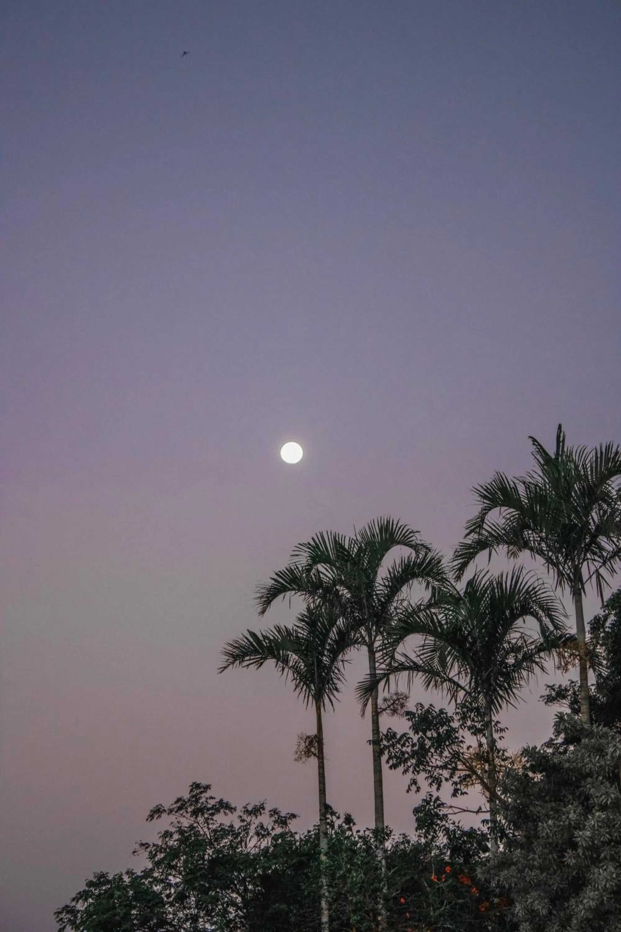 Natural landscape in The Eco Palace Hostel