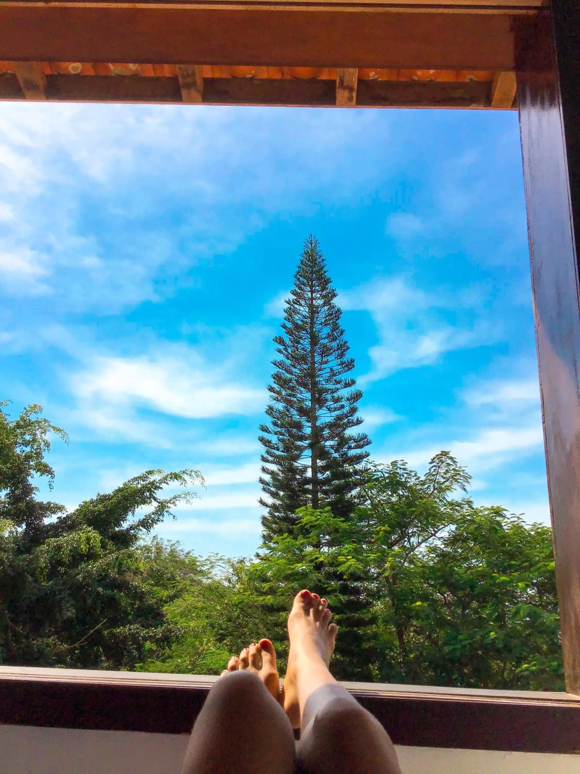 Balcony/Terrace in The Eco Palace Hostel