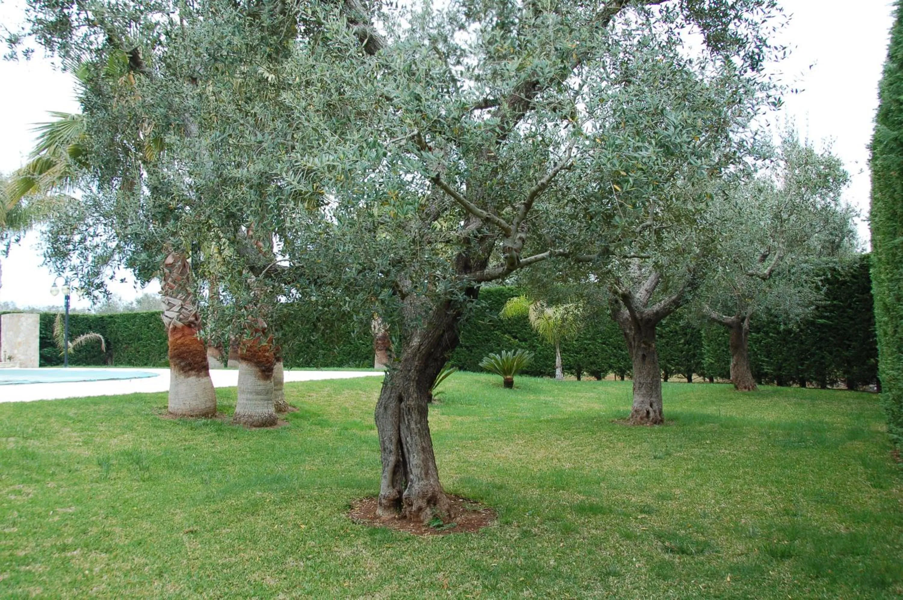 Garden in B&B Villa Vittoria
