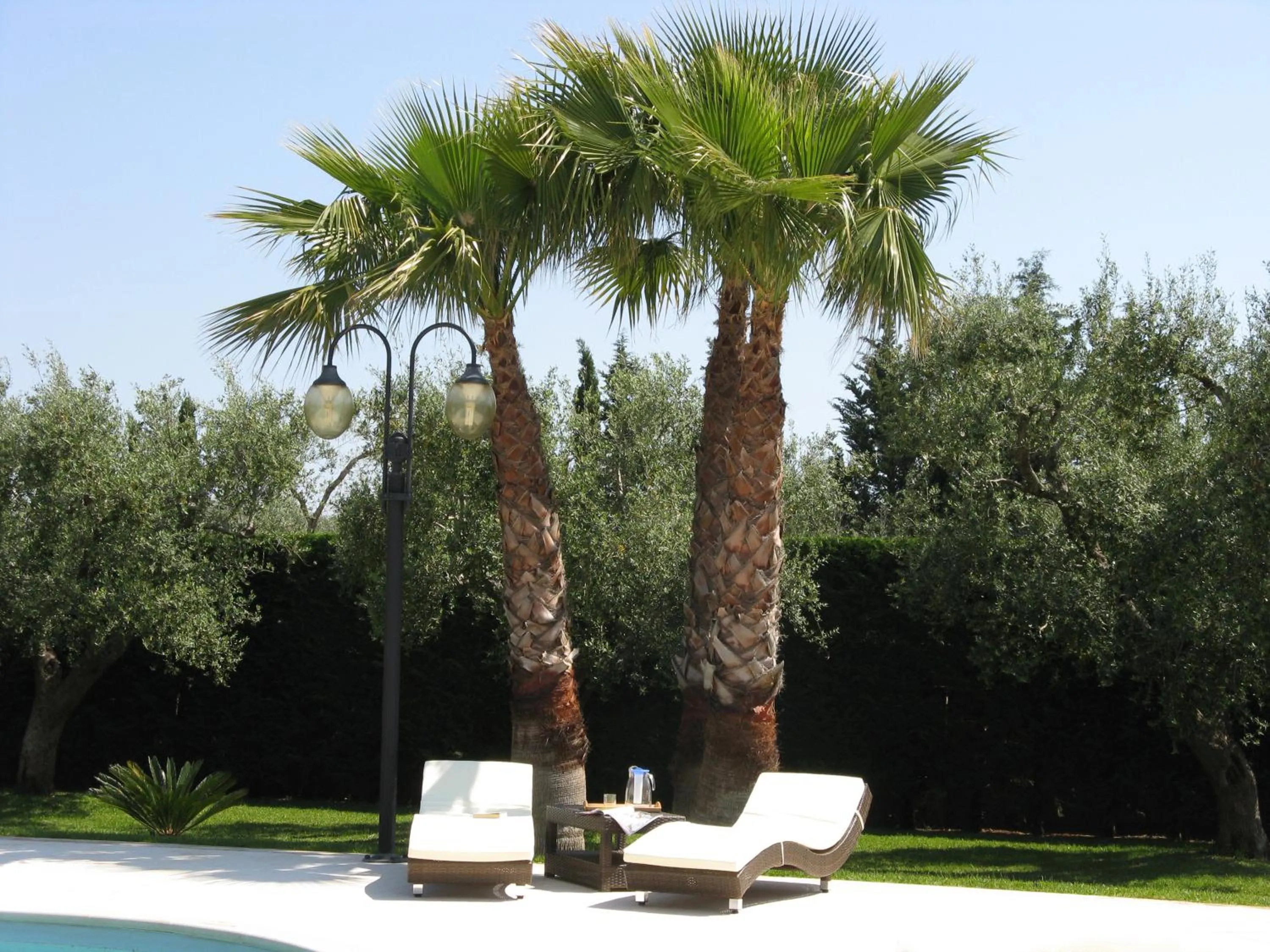 Garden in B&B Villa Vittoria