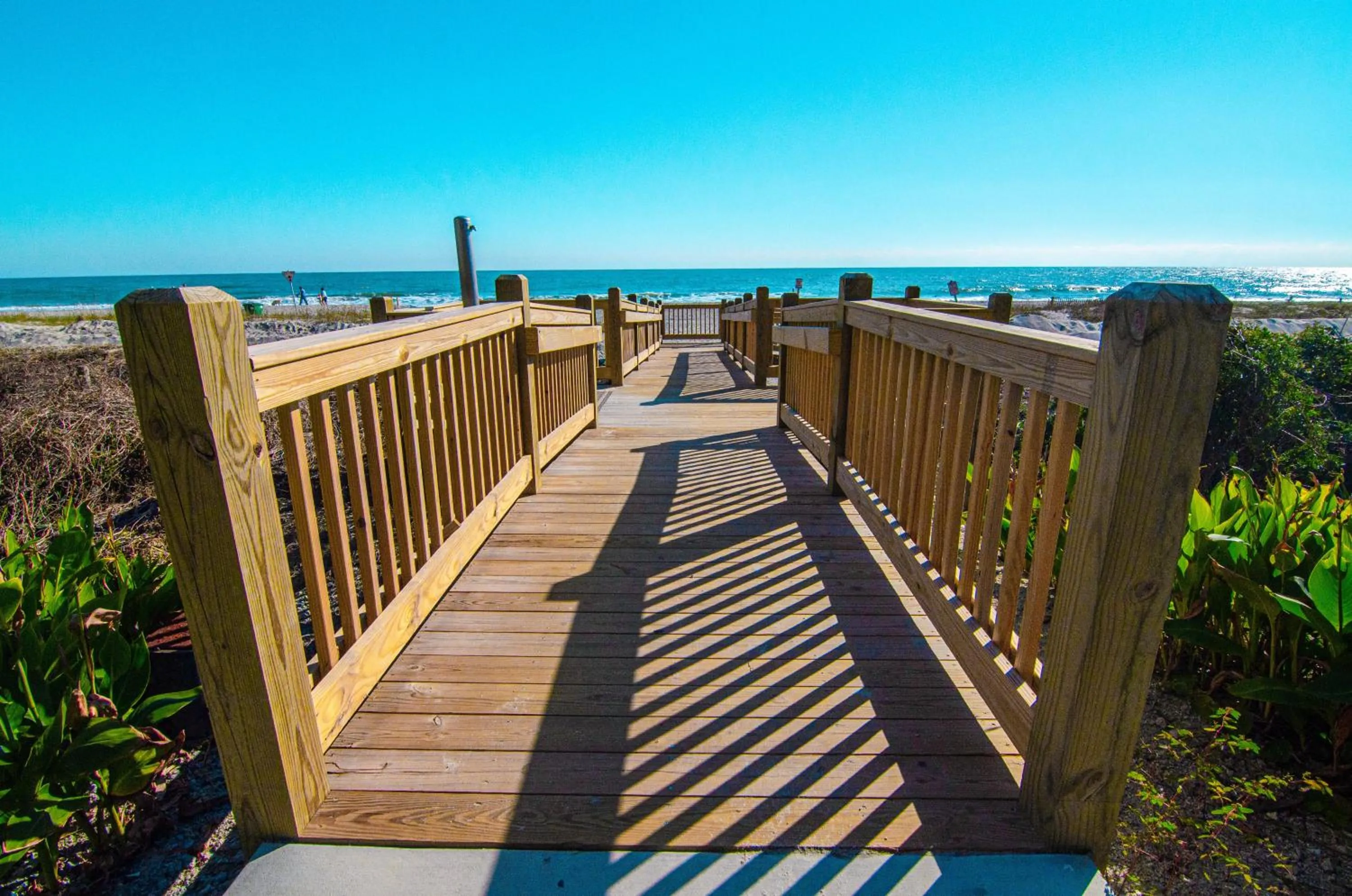 View (from property/room) in Palms Resort