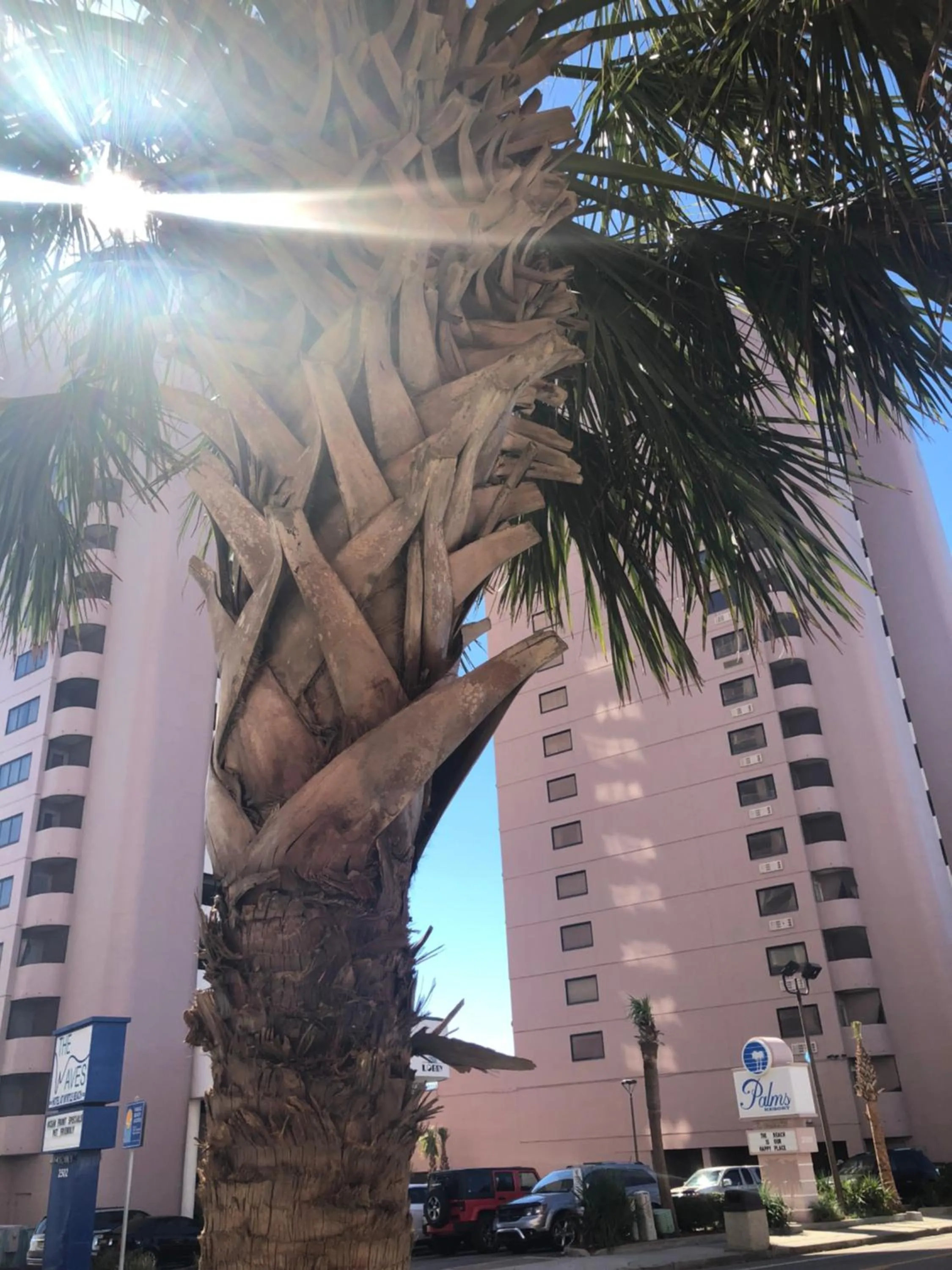 Property logo or sign in Palms Resort