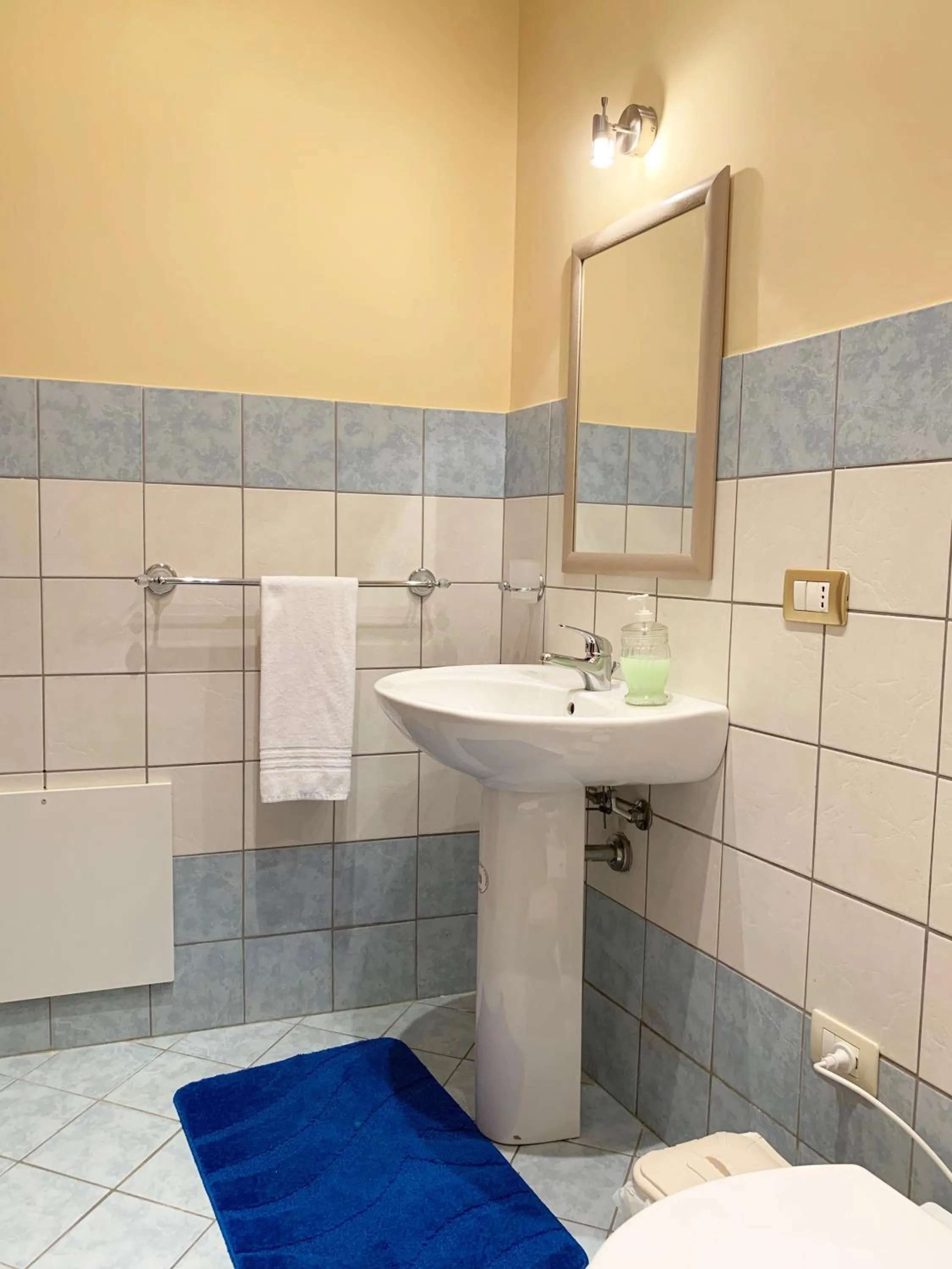 LA TERRAZZA SUL CORSO City Center