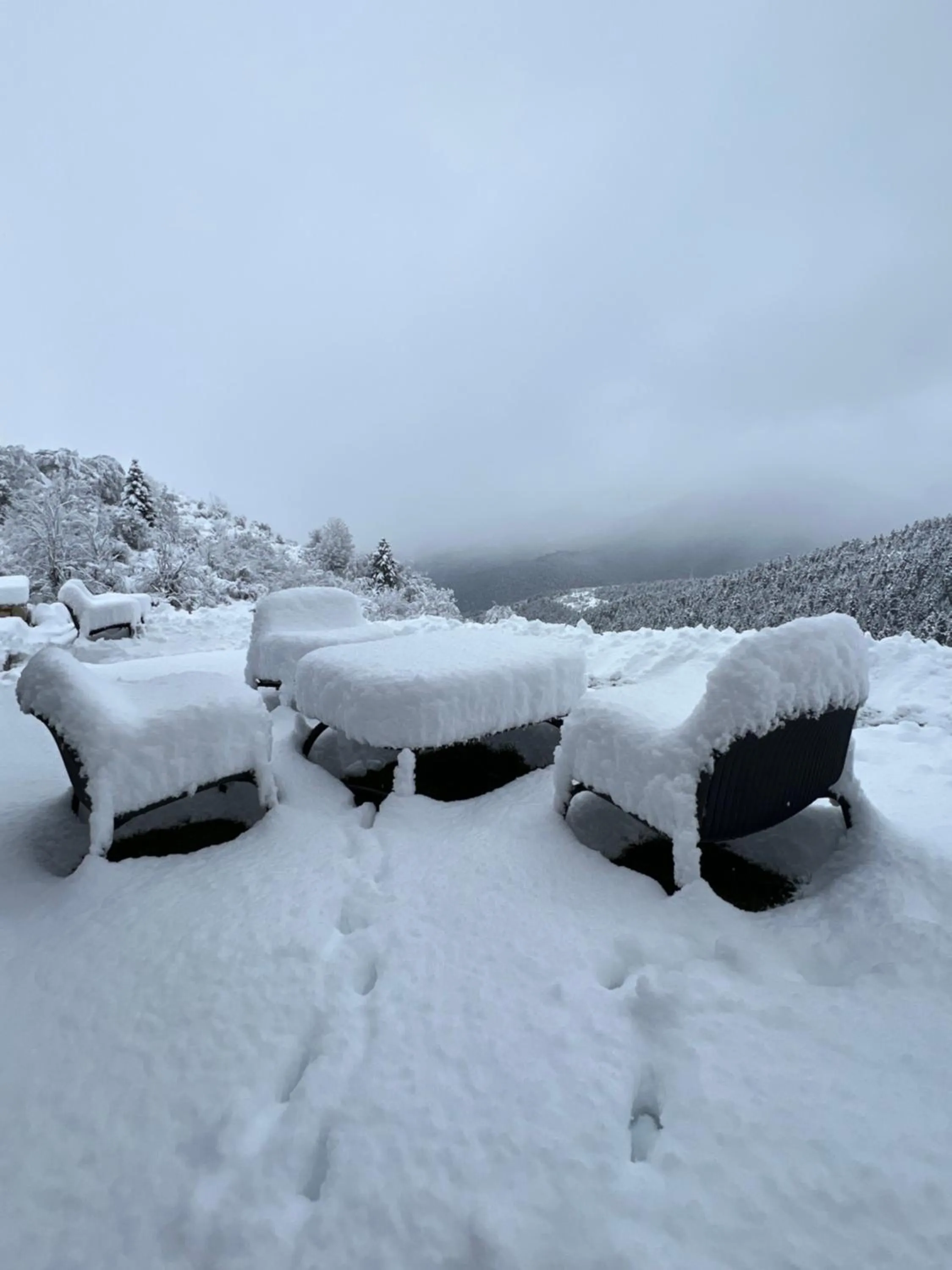 Natural landscape in Escapade Luxury Residences