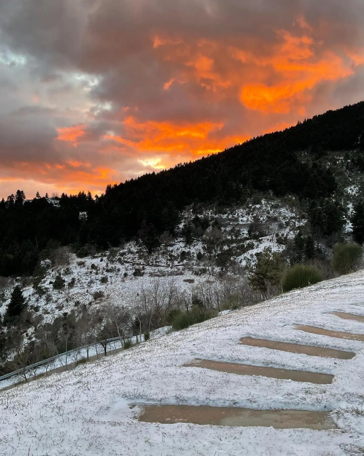 Natural landscape in Escapade Luxury Residences