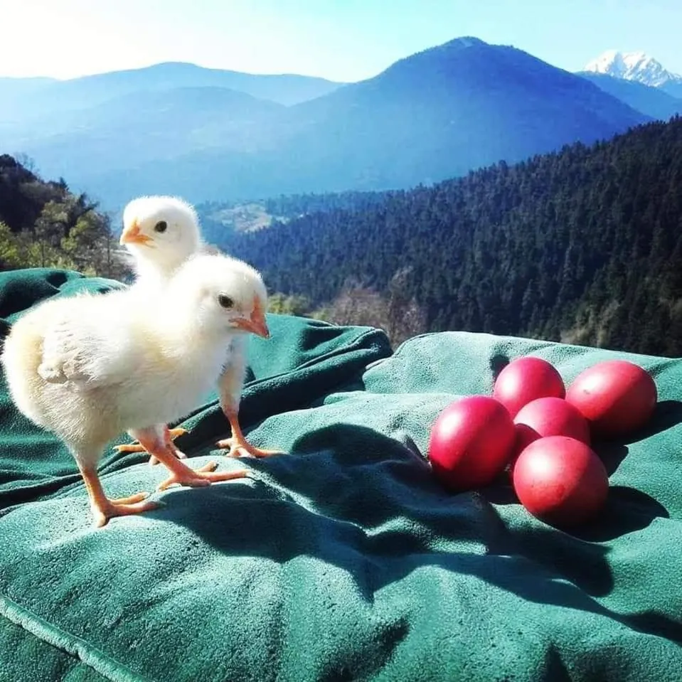 Mountain view in Escapade Luxury Residences