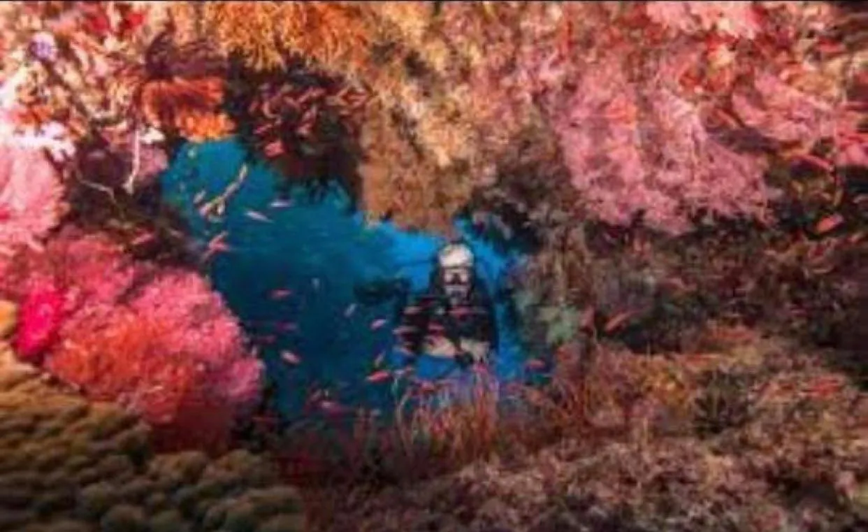 Diving in Dua Dua Beach Resort