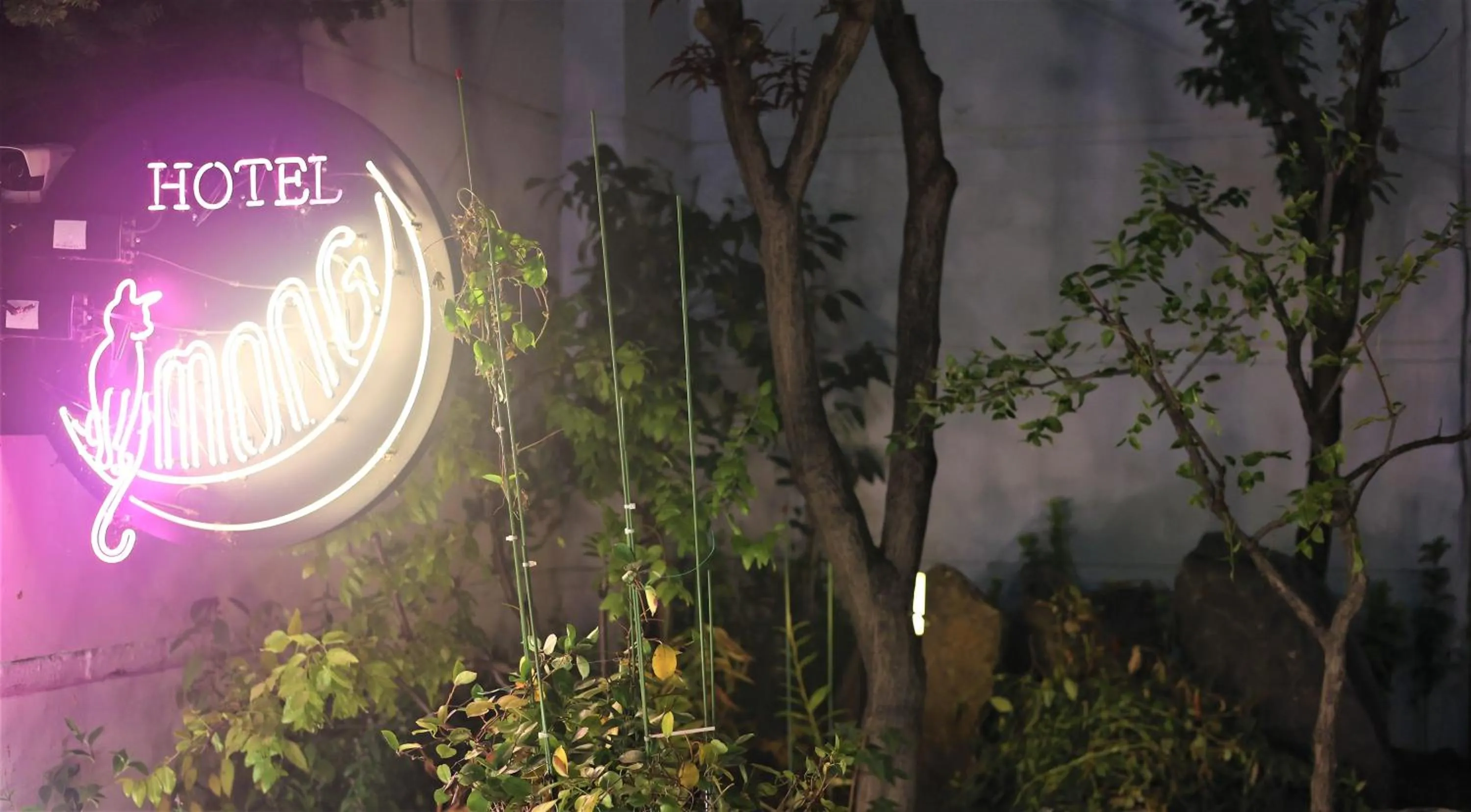 Garden in Hotel Lemong