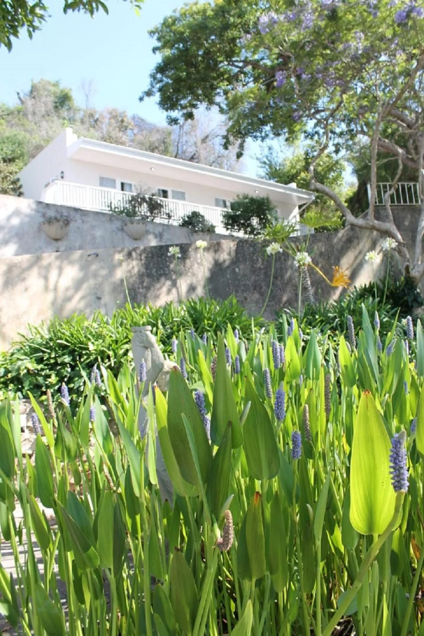 Garden in Phoenix Lodge and Waterside Accommodation