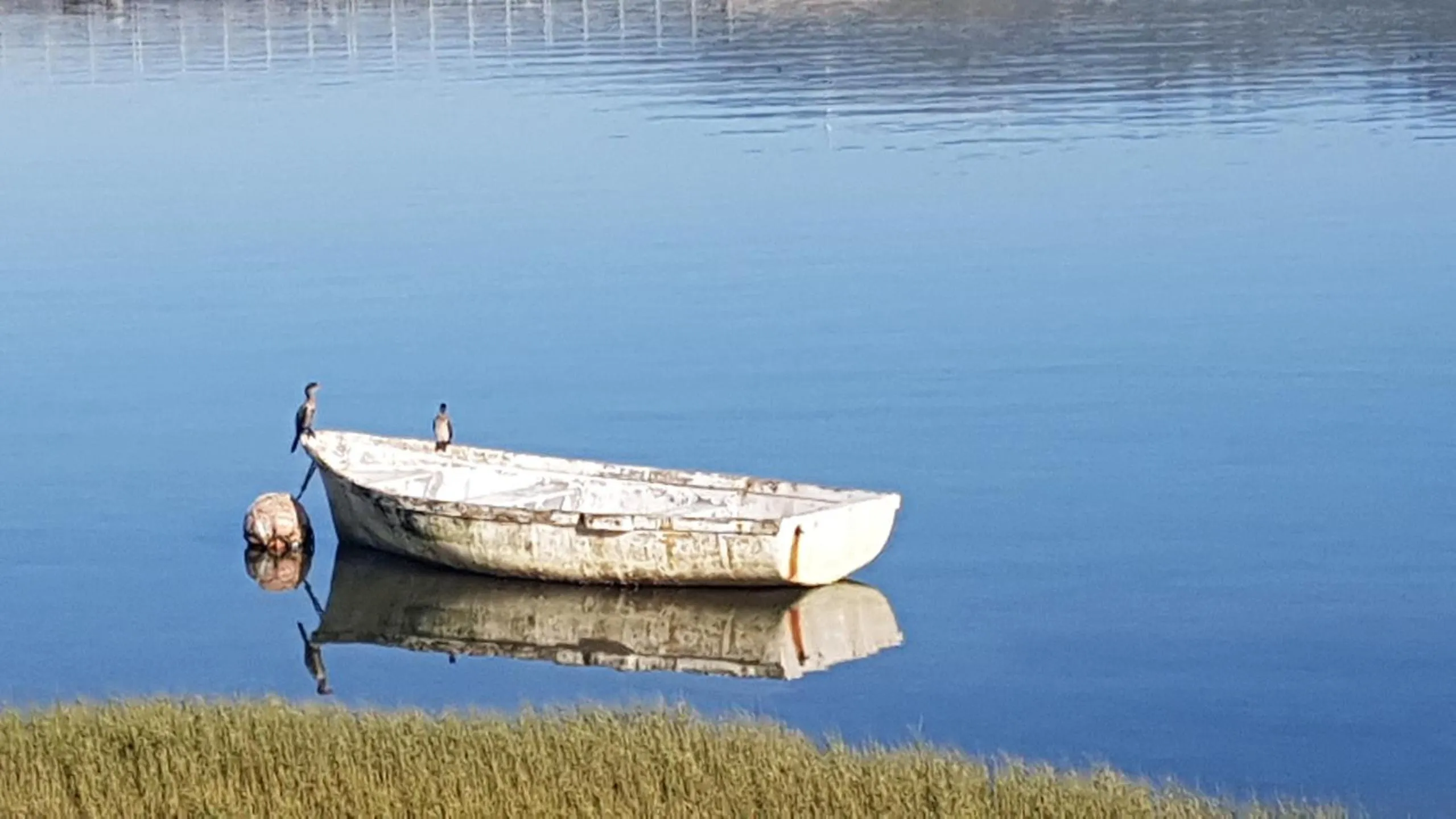 Natural landscape in Phoenix Lodge and Waterside Accommodation
