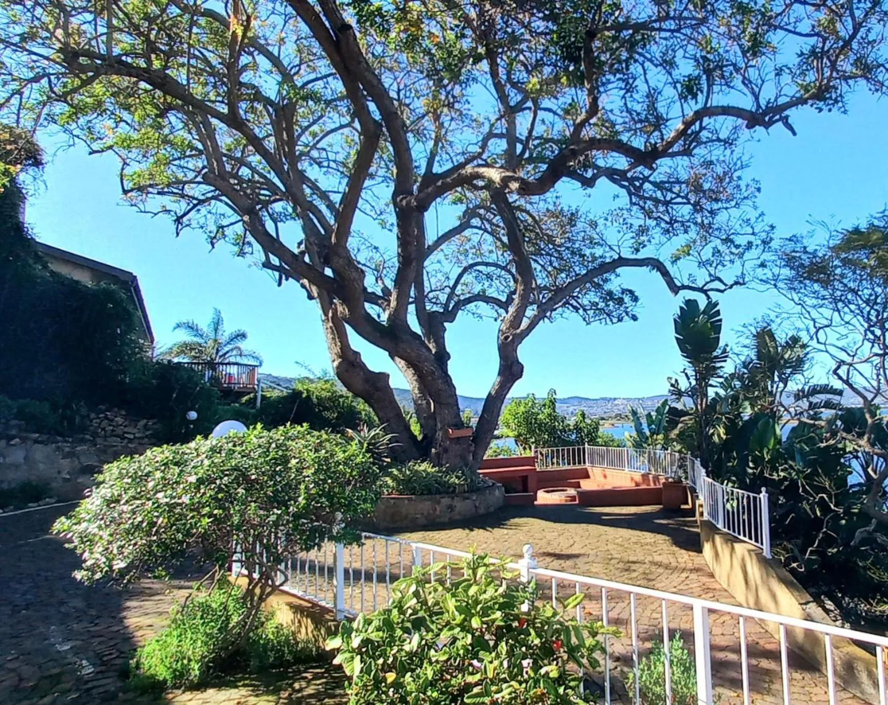 Garden view in Phoenix Lodge and Waterside Accommodation