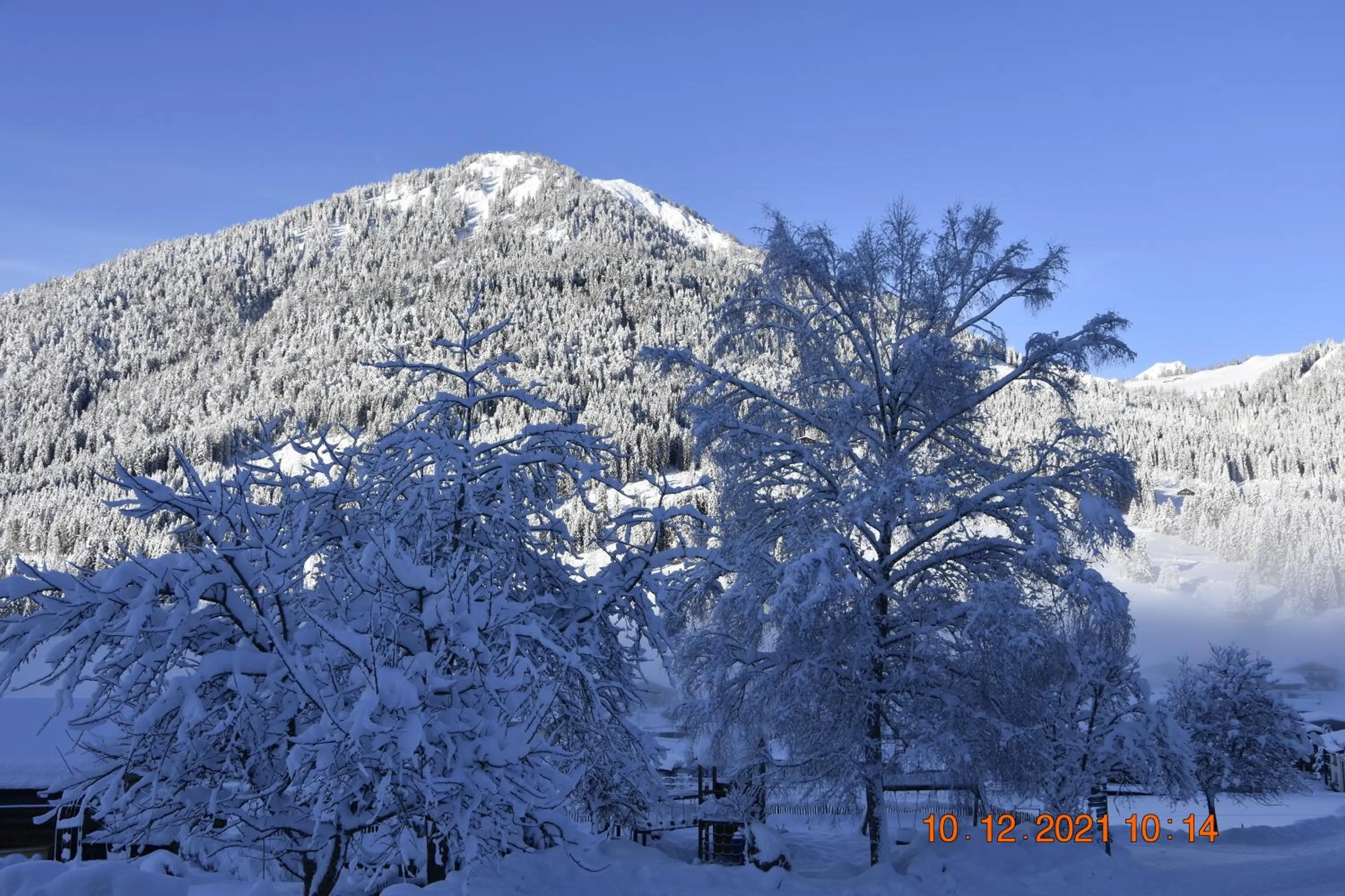 View (from property/room) in Landhotel Anna