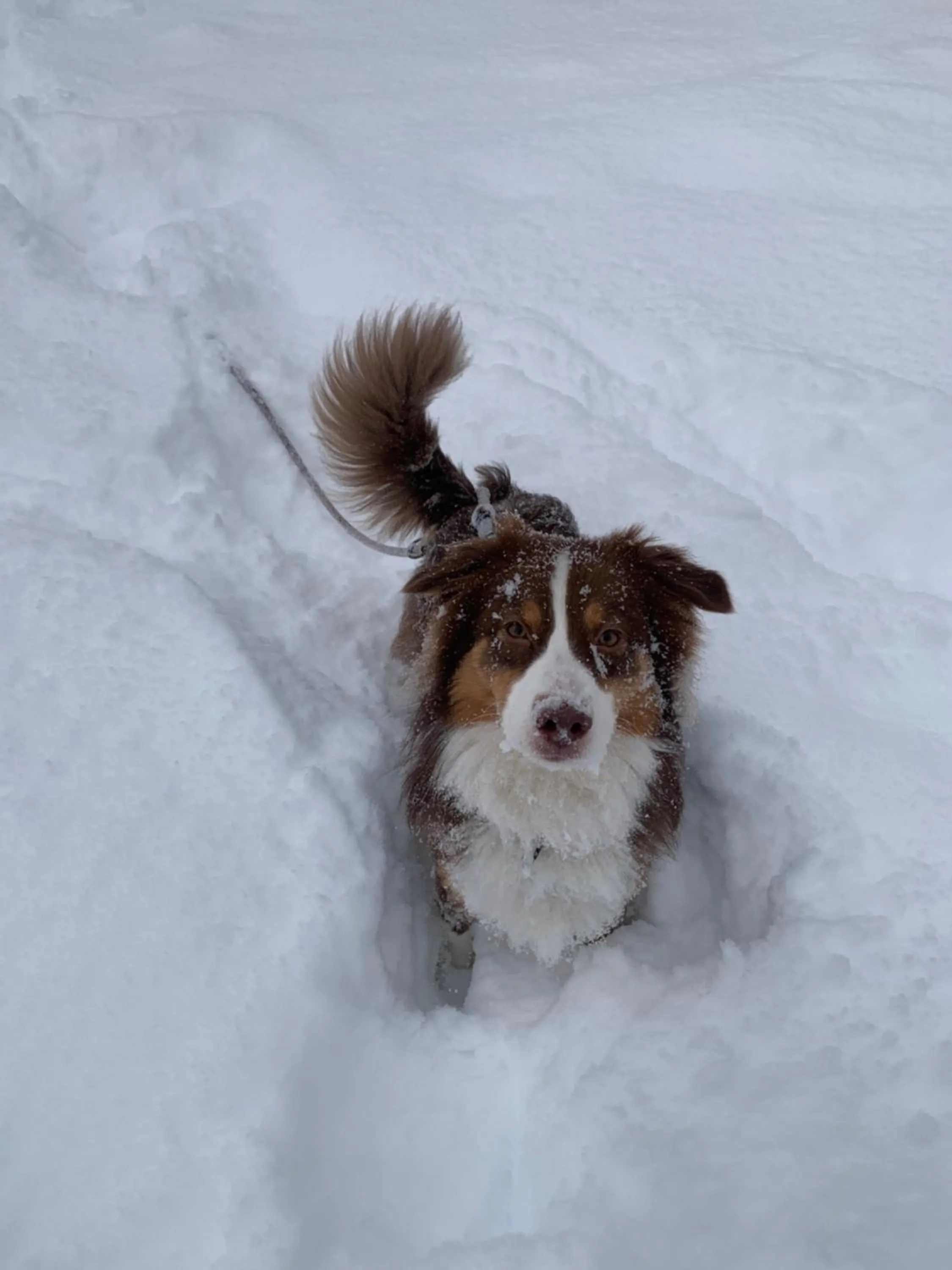 Winter in Hotel Le Concorde