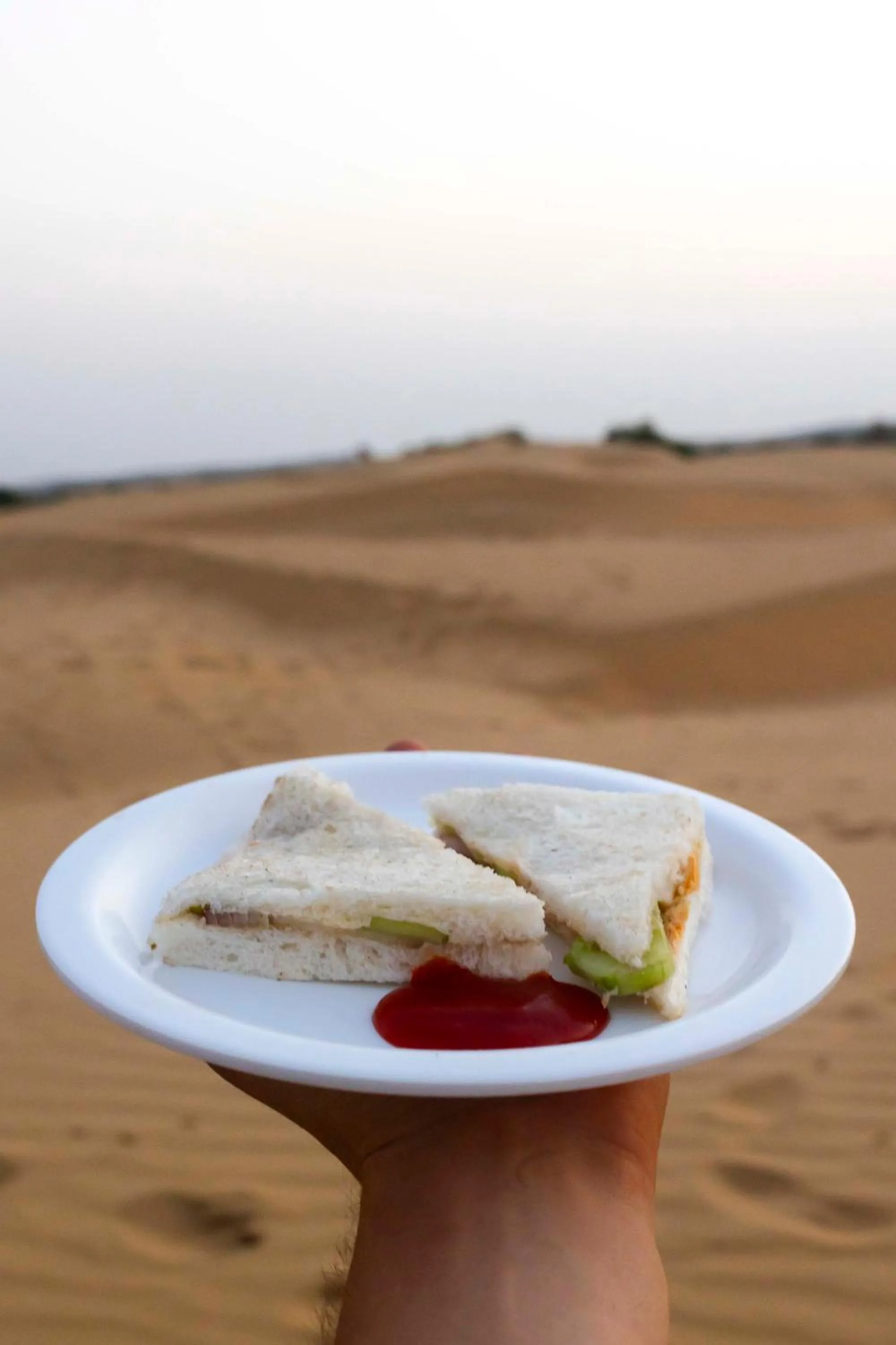 Nomads heaven desert camp jaisalmer