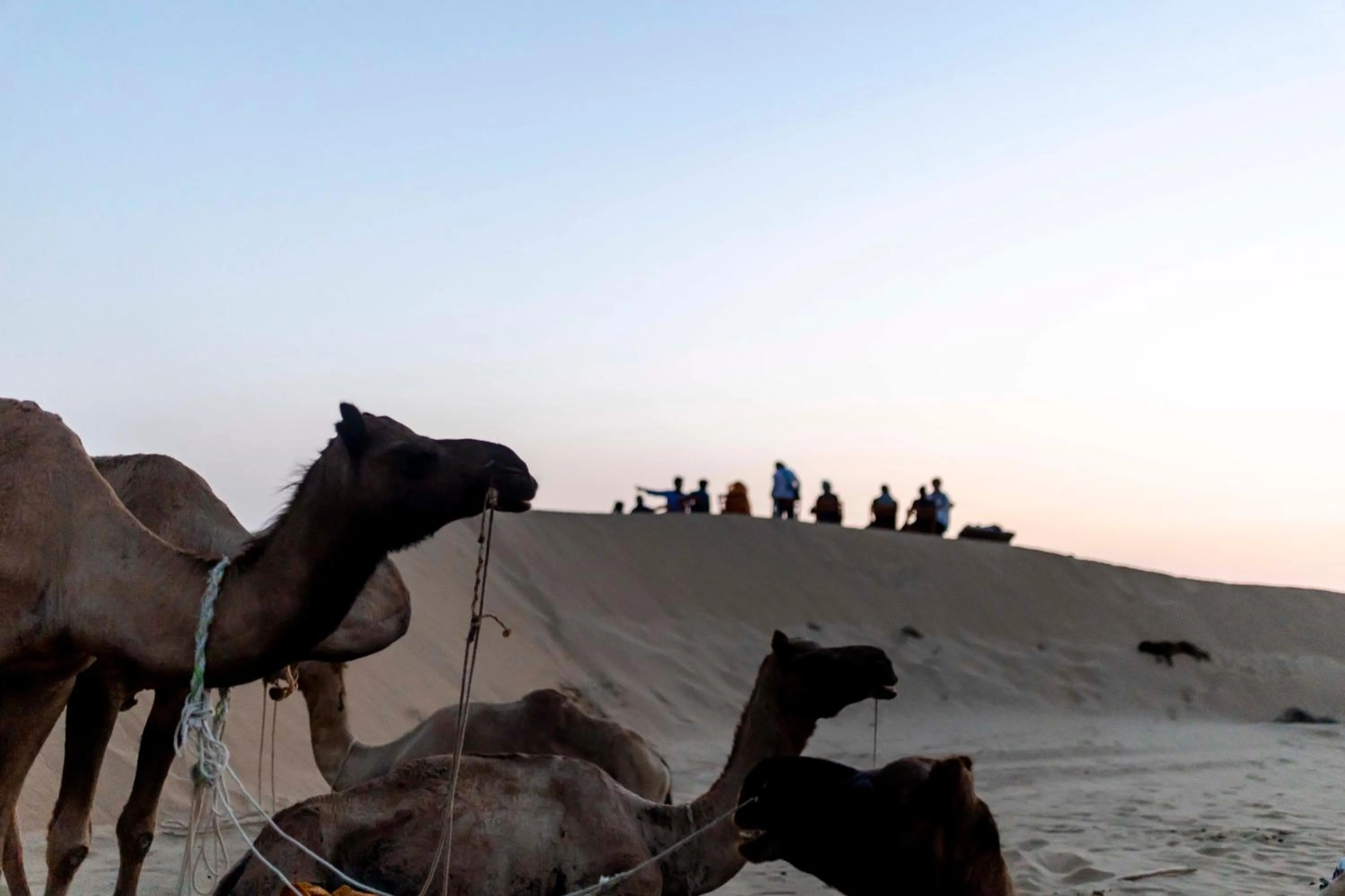 Natural landscape in Nomads heaven desert camp jaisalmer