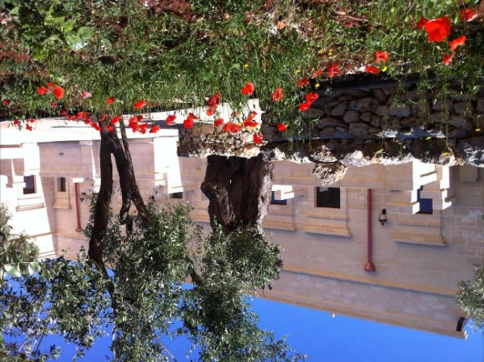 Garden in Agriturismo Masseria San Leonardo