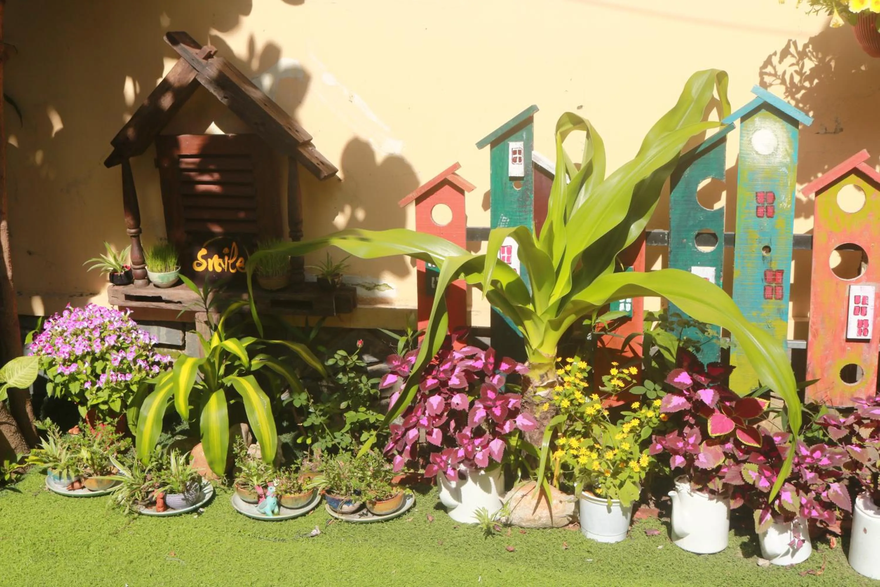 Property building in Loc Phat Hoi An Homestay