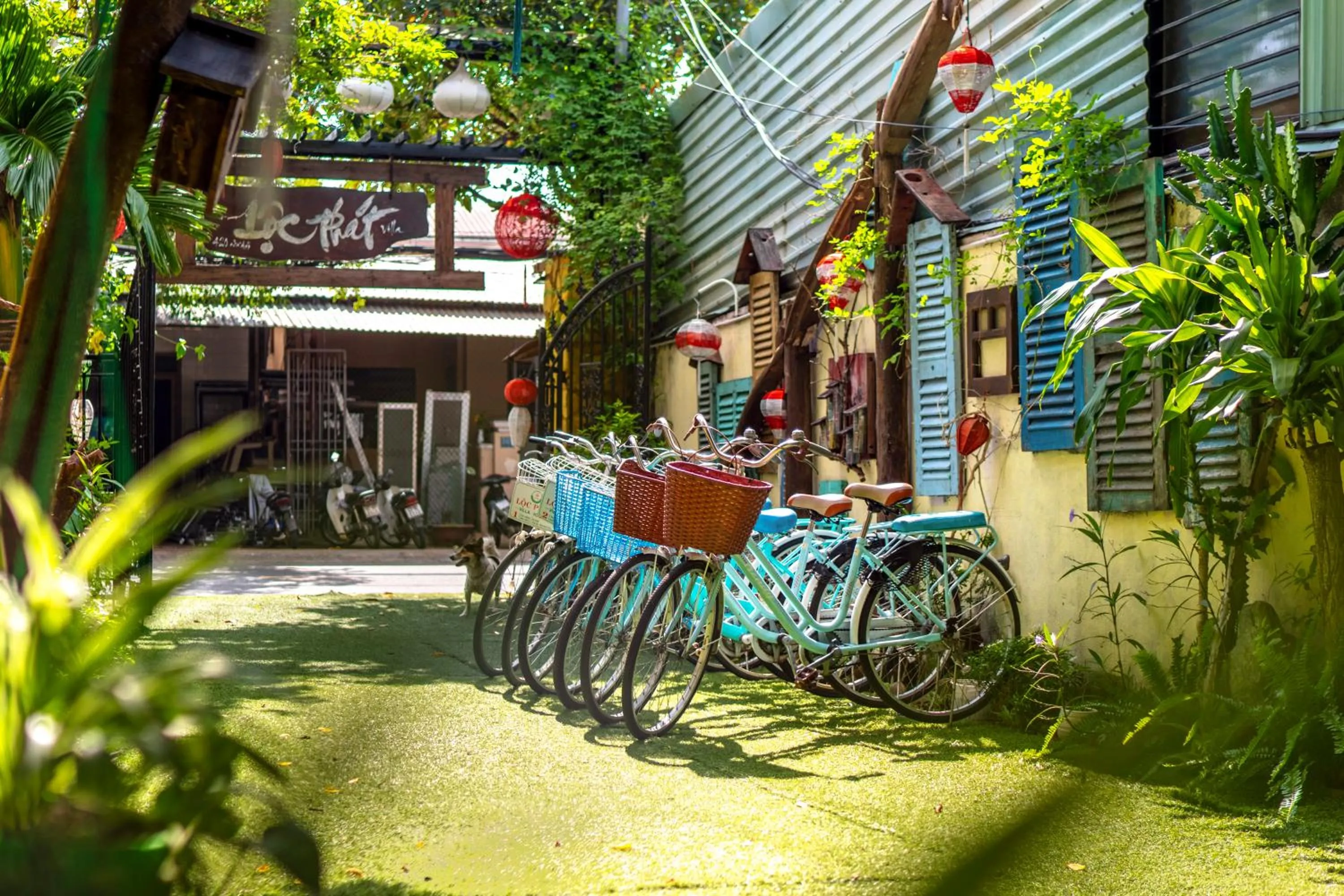 Cycling in Loc Phat Hoi An Homestay