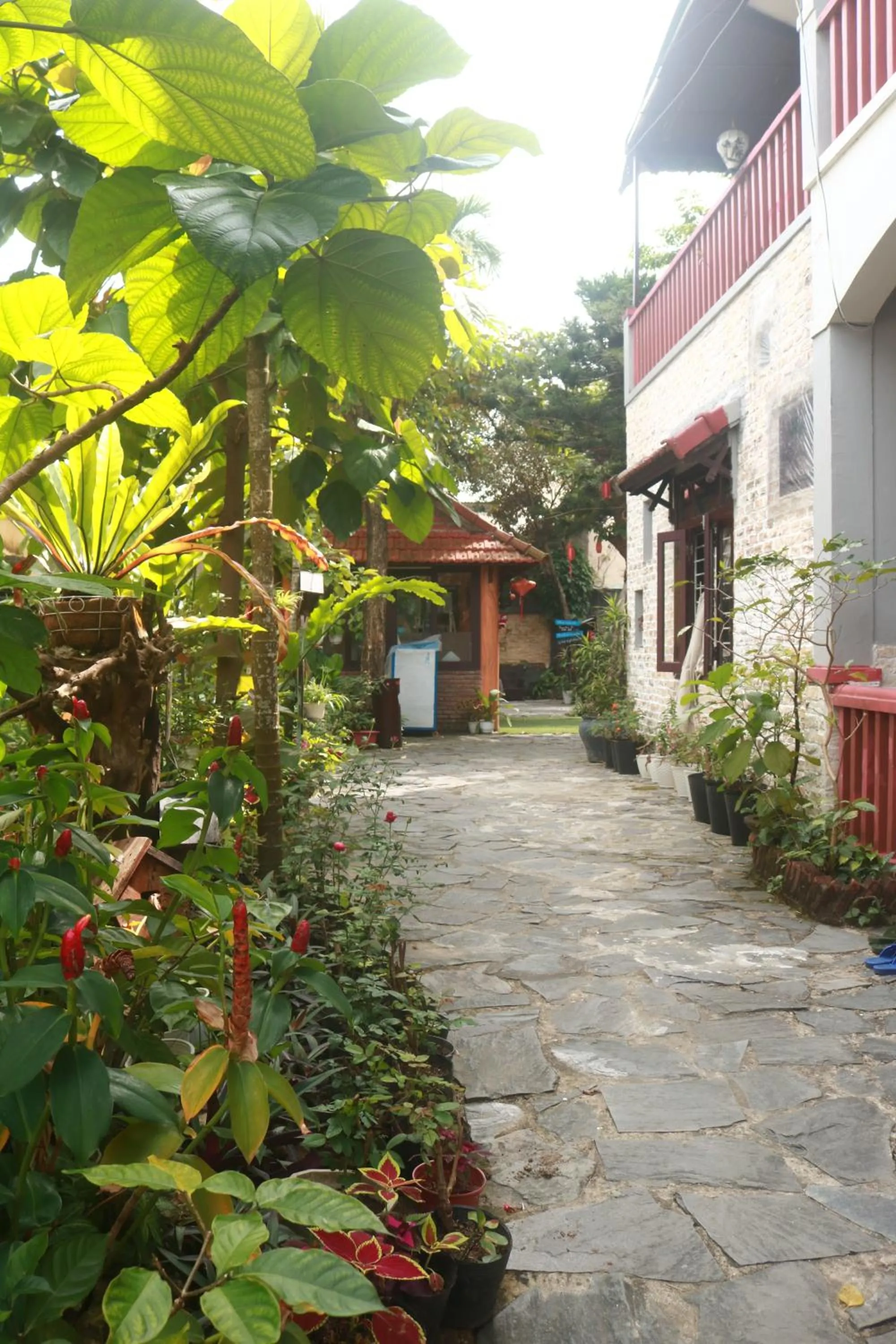 Property building in Loc Phat Hoi An Homestay