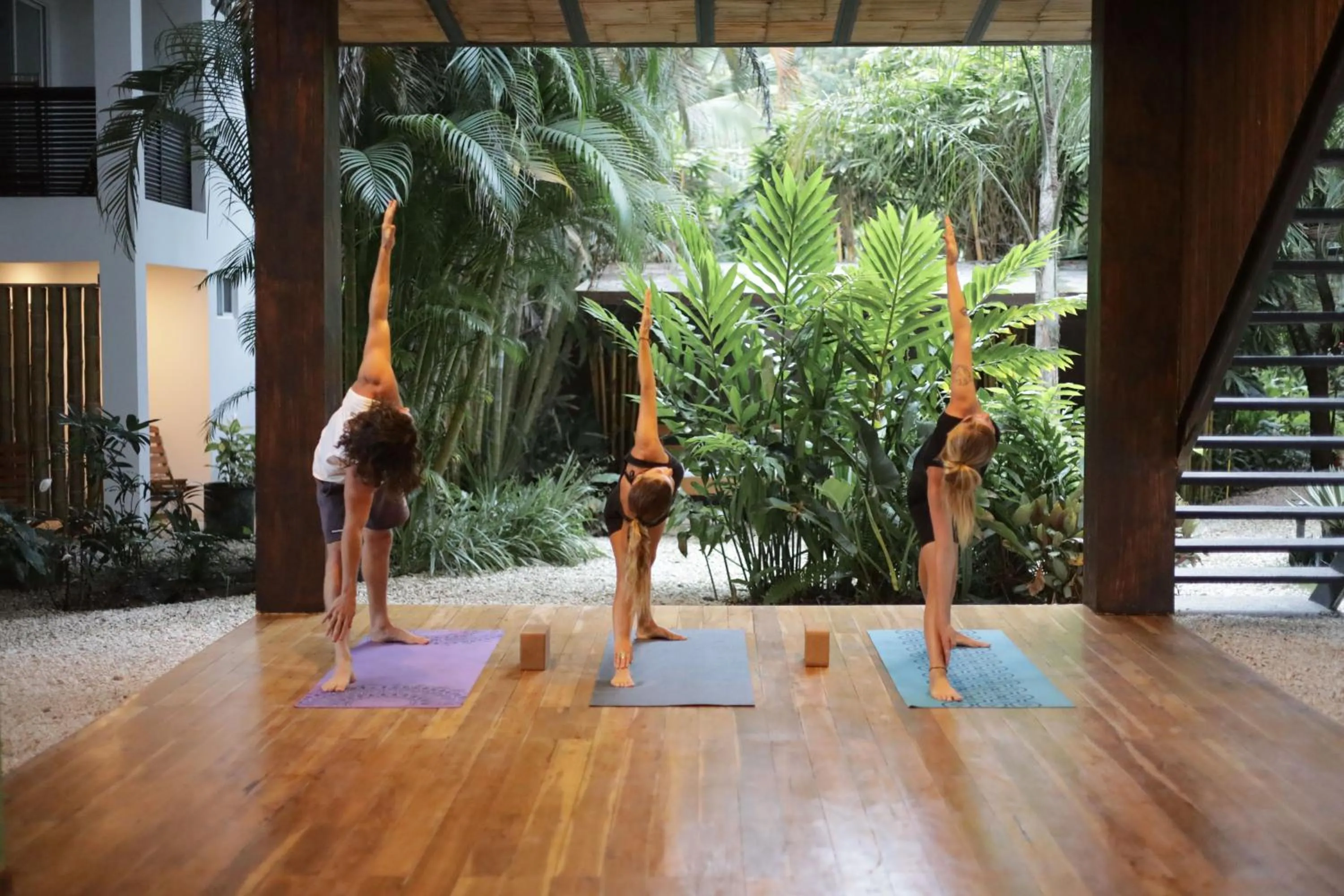 Garden in Outsite Santa Teresa Playa